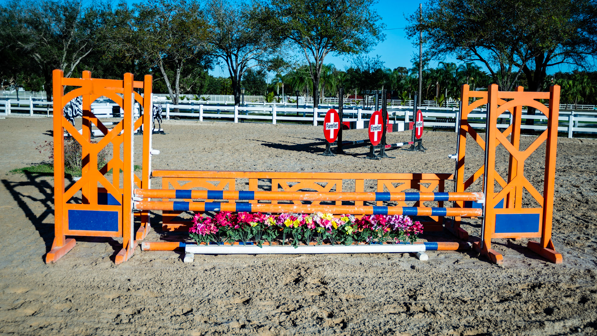 South Florida arena and hand made jumps.