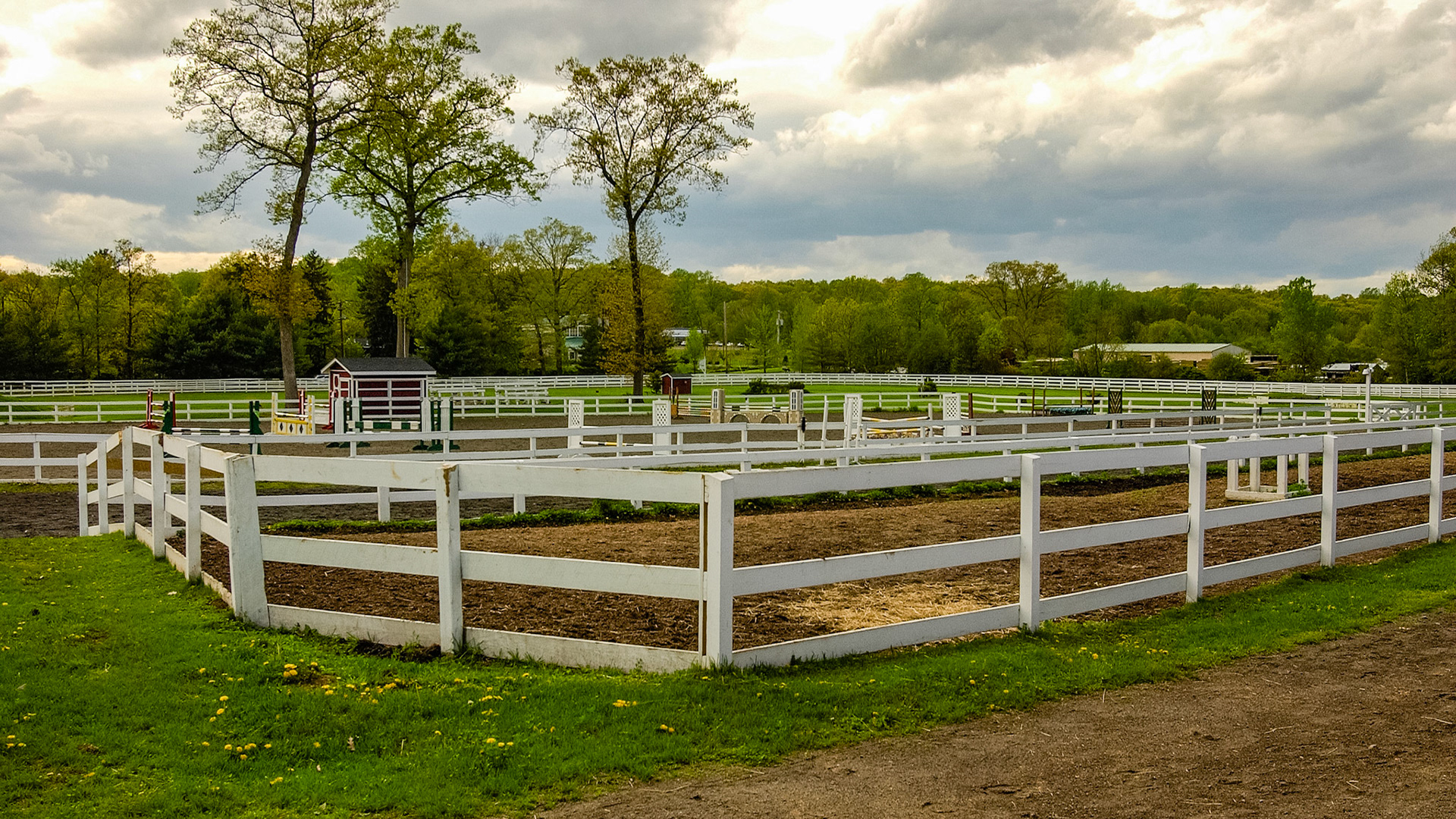 Dirt turn out paddock