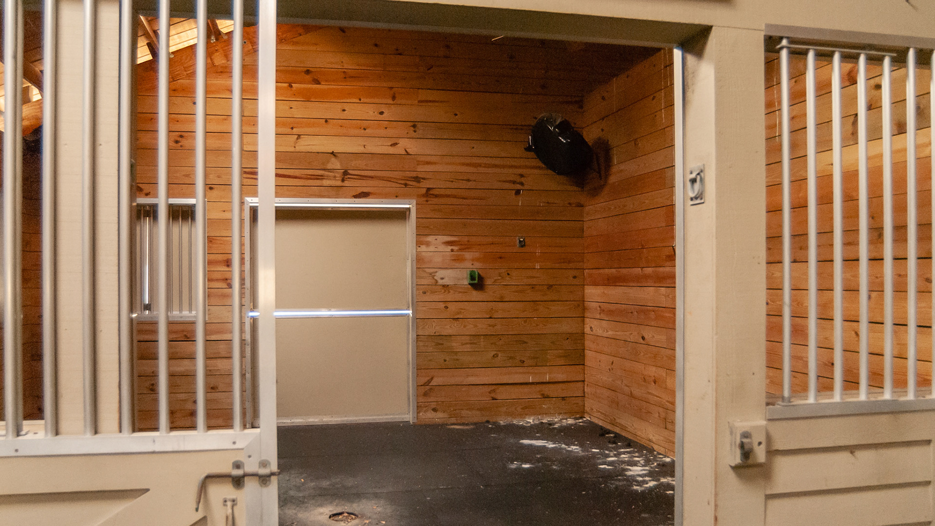 Multiple features in an abandoned horse farm being used for storage.