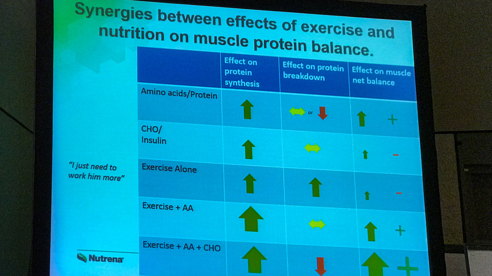 From a lecture on protein given by Nutrena at the AAEP conference: This describes how intake of amino acids is combined with exercise to increase or decrease the mass of muscle.