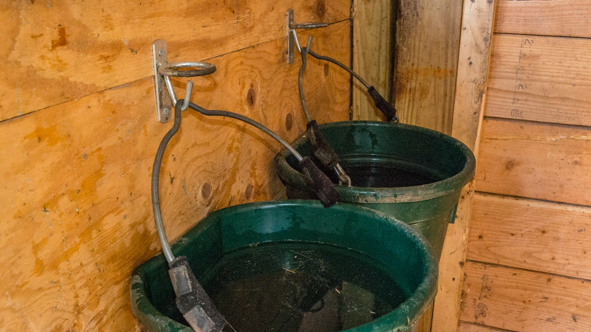 Neoprene wraps made for covering wire junction to prevent tail catching and eyelid lacerations.