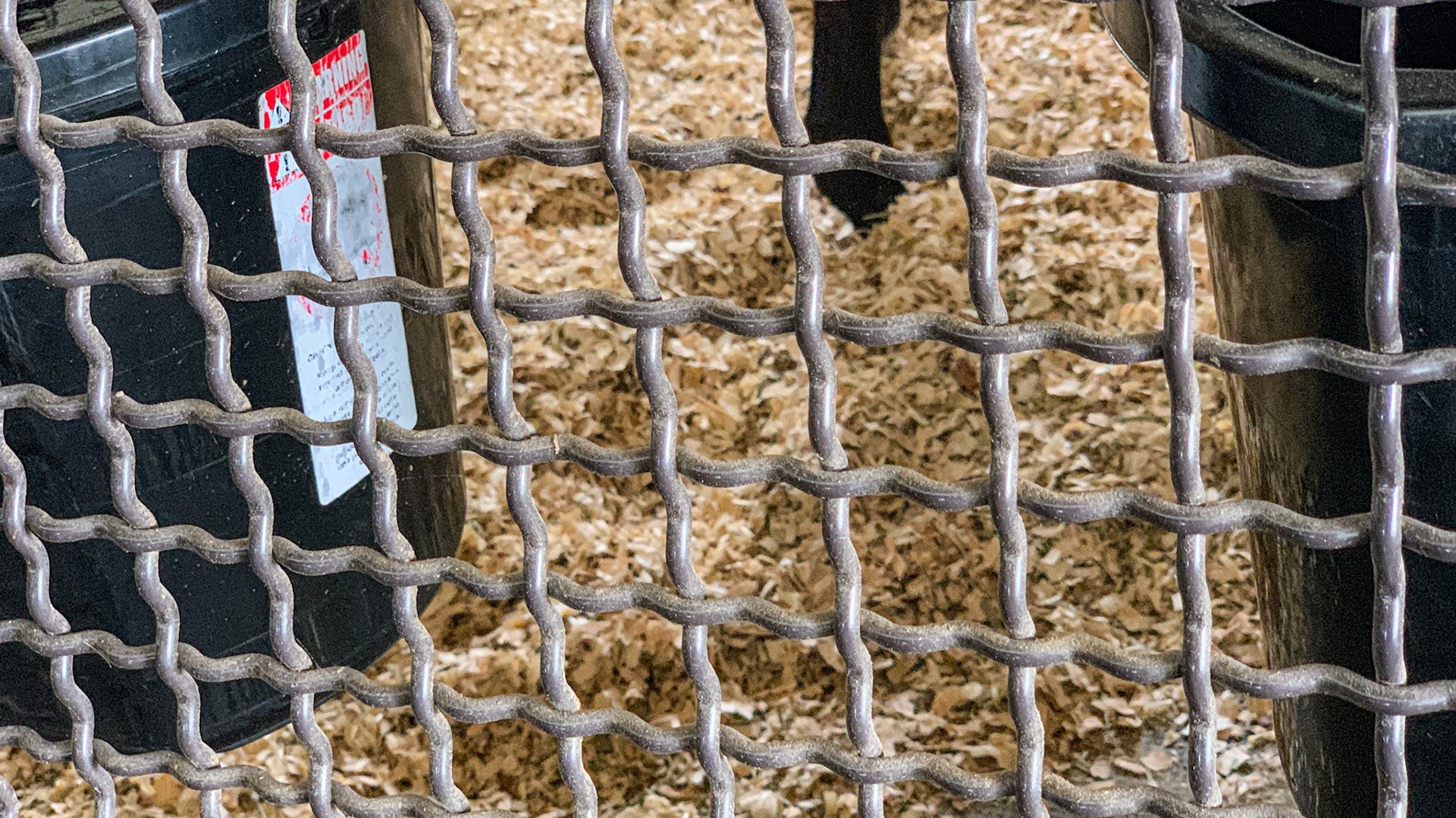 The wire mesh used for these stall walls is sturdy to withstand a kick (no dings seen anywhere) yet allows for free air flow in south Florida.