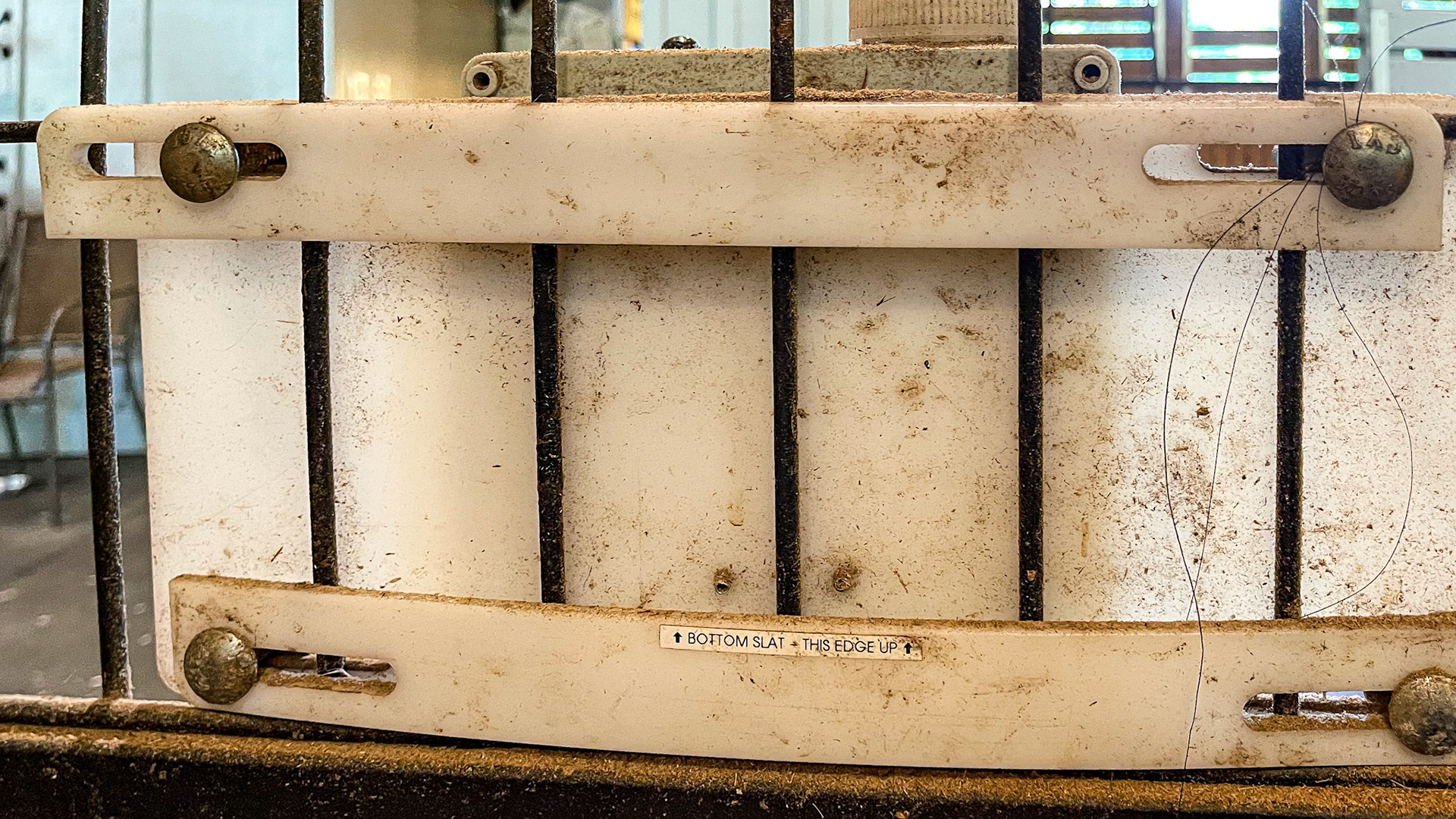 An anti-kicking device is attached to the stall door. When active, a kick triggers the release of a water spray towards the horse, suggesting to the horse to stop striking the door.