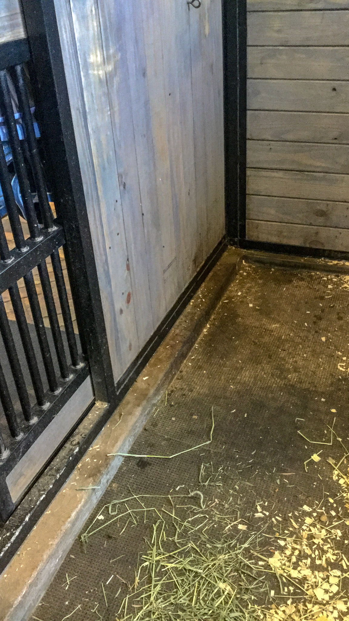 This stall has a lowered cement floor lined with rubber mats. The stall walls are framed in metal and attached to the cement floor. The ledge helps keep debris within the stall.