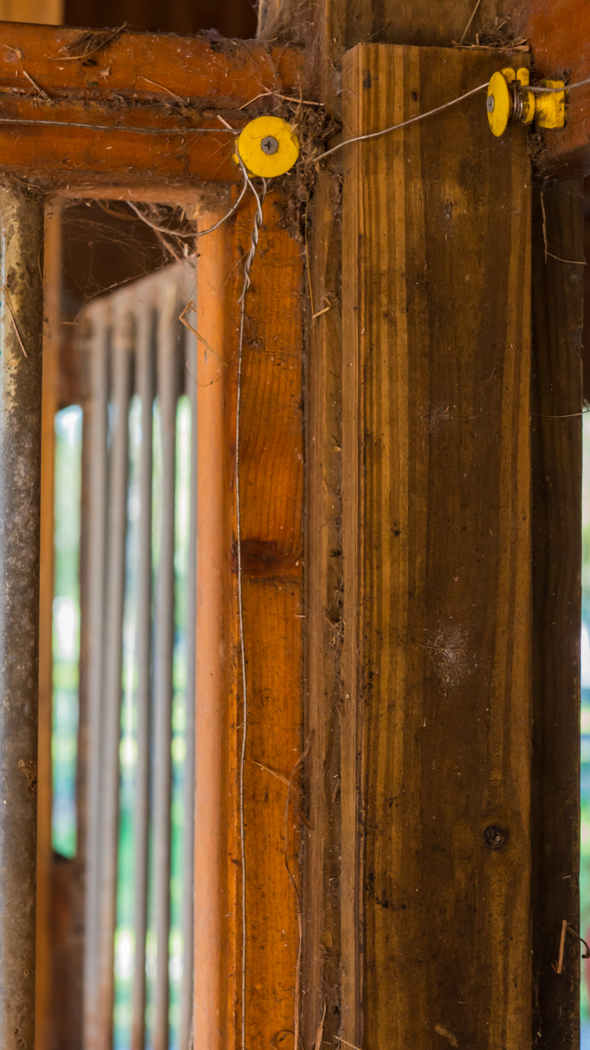 Electric wire inside a stall prevents the horses from chewing the wood. However, from a vet's standpoint, working in the stall is dangerous even with the electricity turned off because the horse doesn't know it is off and jumps when he accidentally touches it.