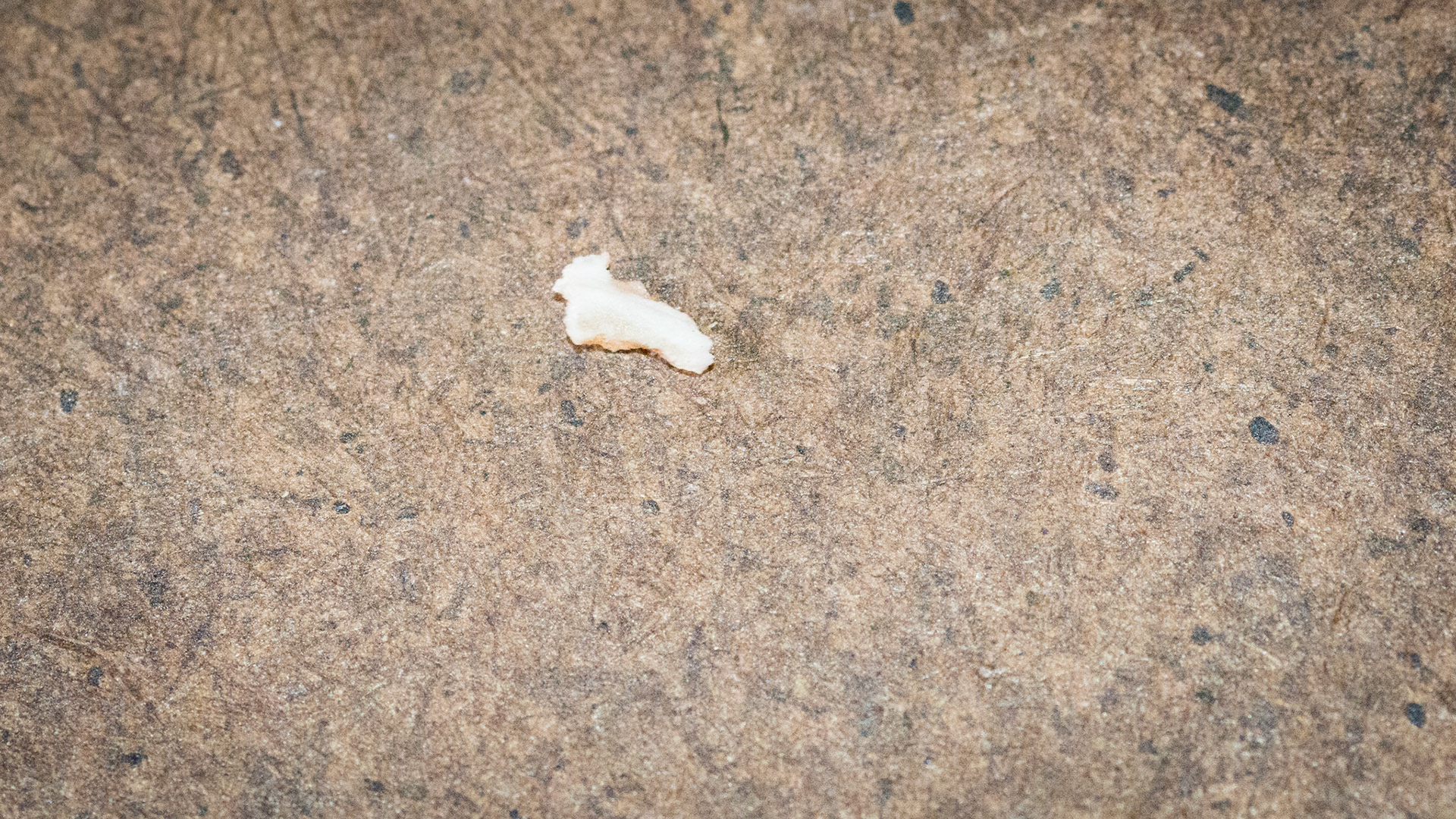 Incisor remnant