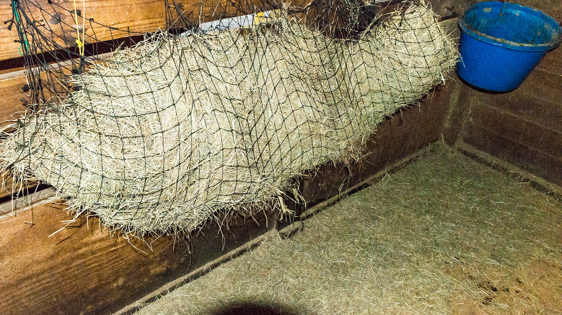 A large net to hold loose hay