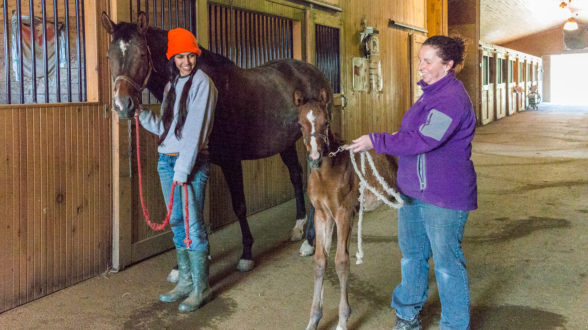 The mare and foal wait before entering the stall.  This helps the foal learn not to charge into the stall.