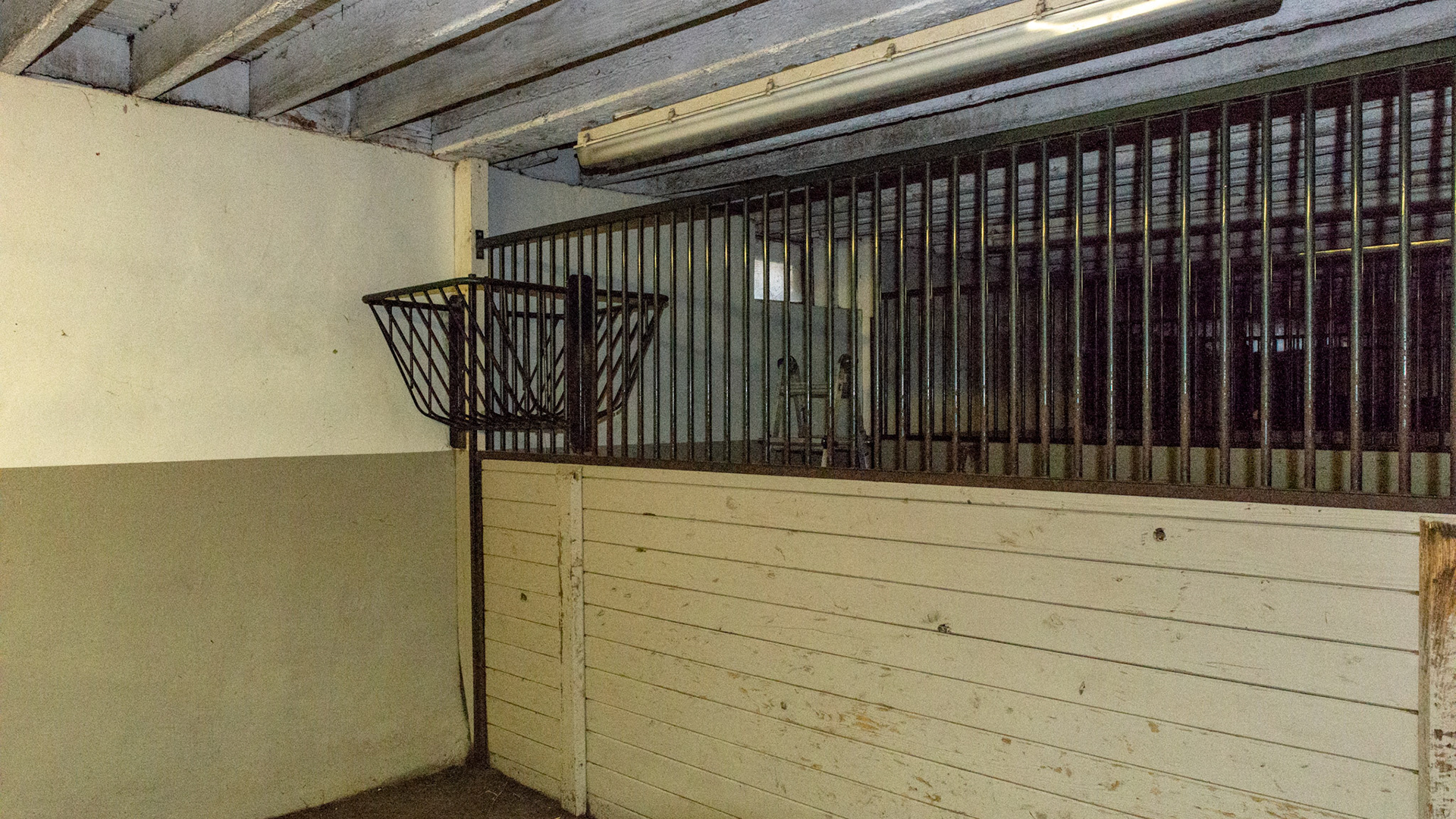 Sandwich boards used on this stall's half wall. Verticle bars are strong, allow air to flow, allow horse interaction, but are also a possible cause of jaw fractures. Note the position of the long florescent lamp between the stalls which avoids damage from horse heads.  A hay rack sets in the corner.