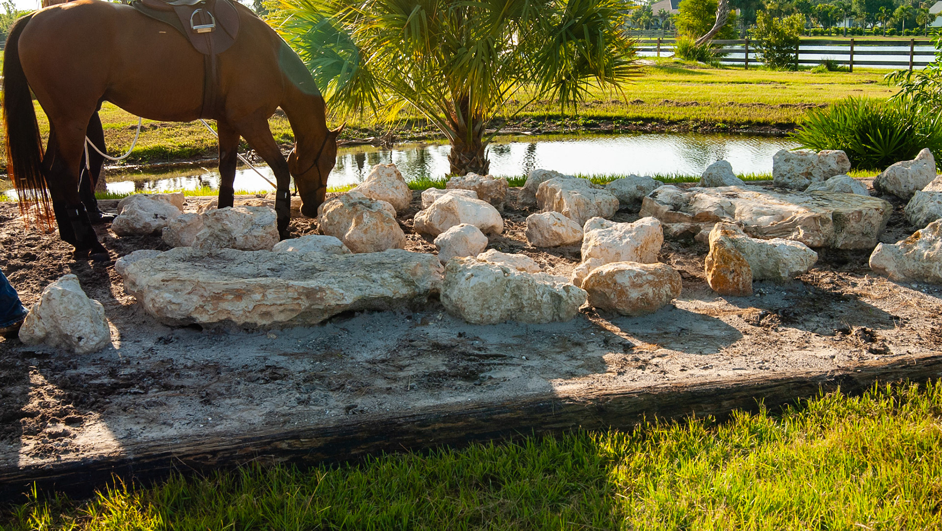 An extreme trail system in Florida about a mile from my home.