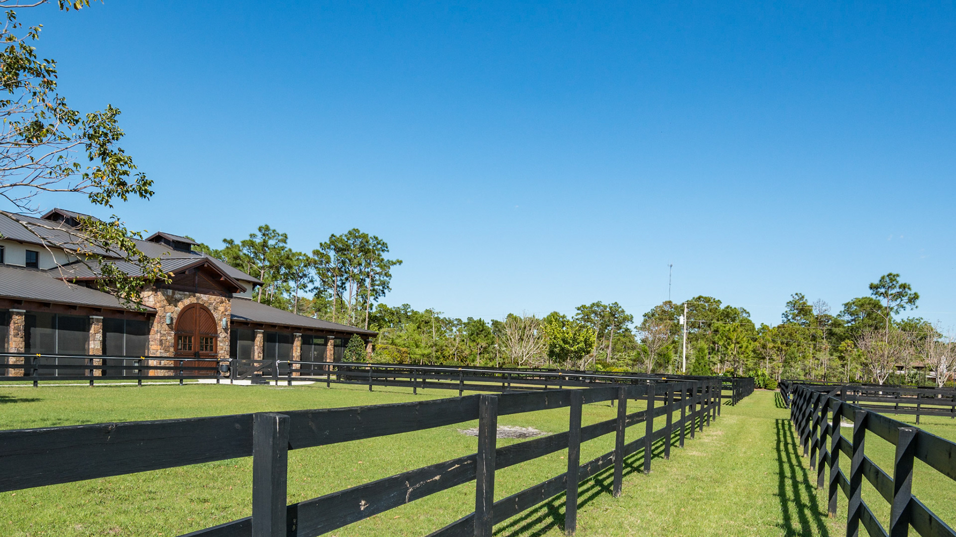 Paddocks with safety lane between them. Fence posts face away from turn out area.