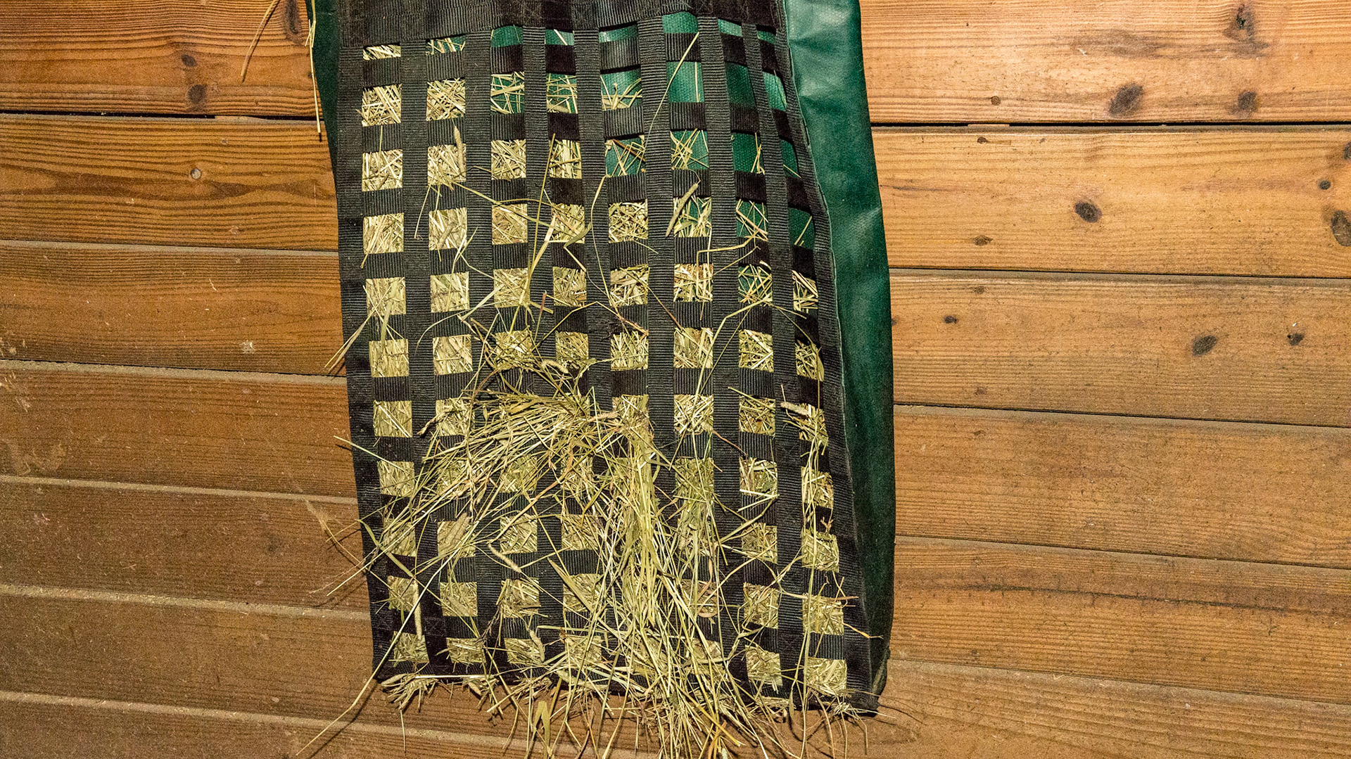 The "Nibble Net" which slows down the consumption of hay in fast eating horses. This was actually a suggestion I made to the owner who went forward with the idea and started the Nibble Net company.