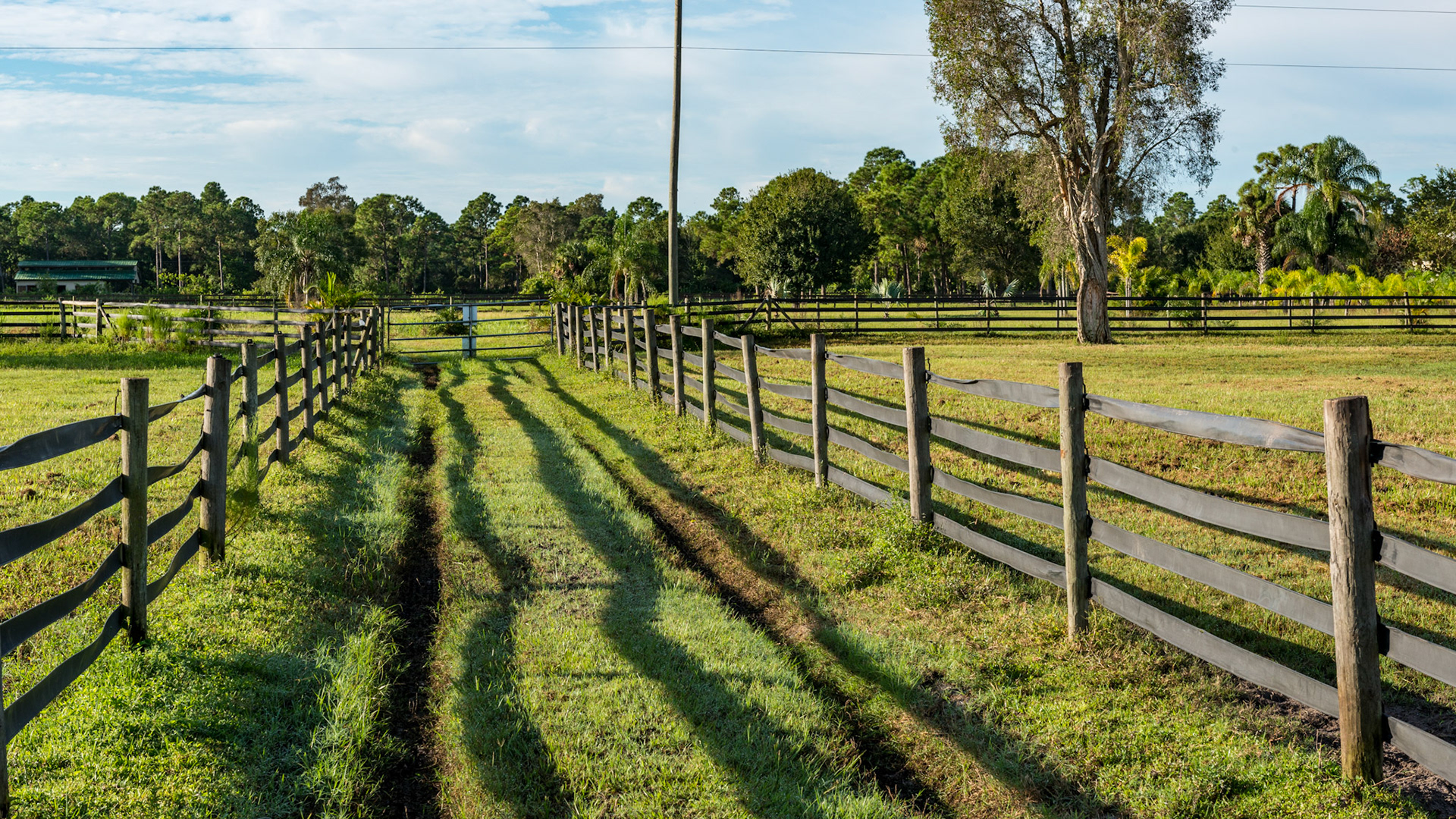 Vinyl fencing - the top strip is collapsed from horses leaning up on it or chewing it and all of them need more tension applied.