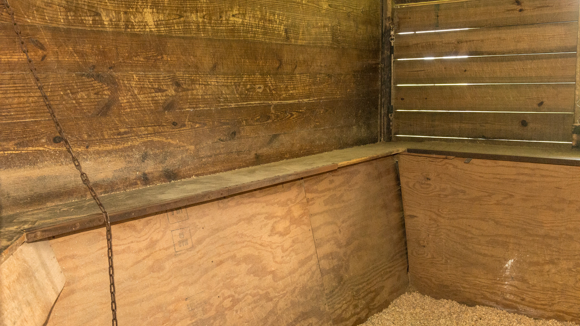 Tail board around the stall is common in a Saddlebred's stall. It prevents the horse wearing a tail set from rubbing the equipment off.