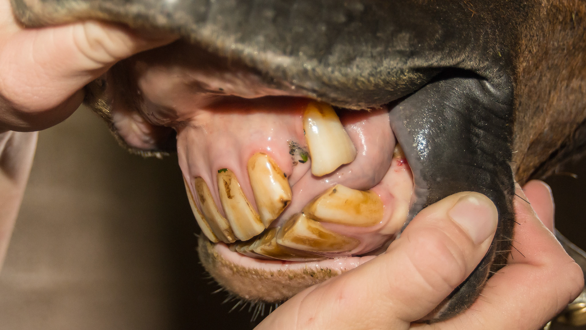 Gap between 202 and 203