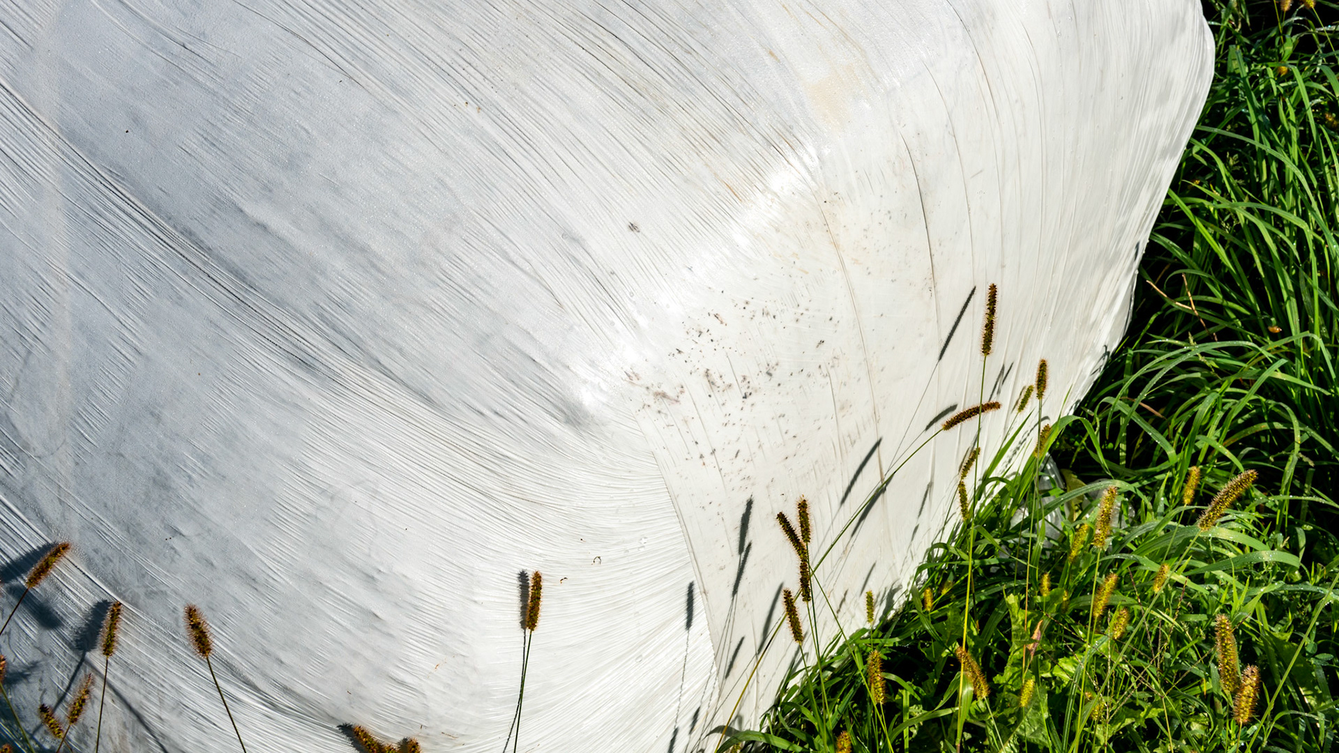 A round bale wrapped in plastic