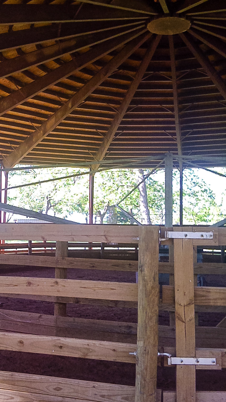 Covered walker details