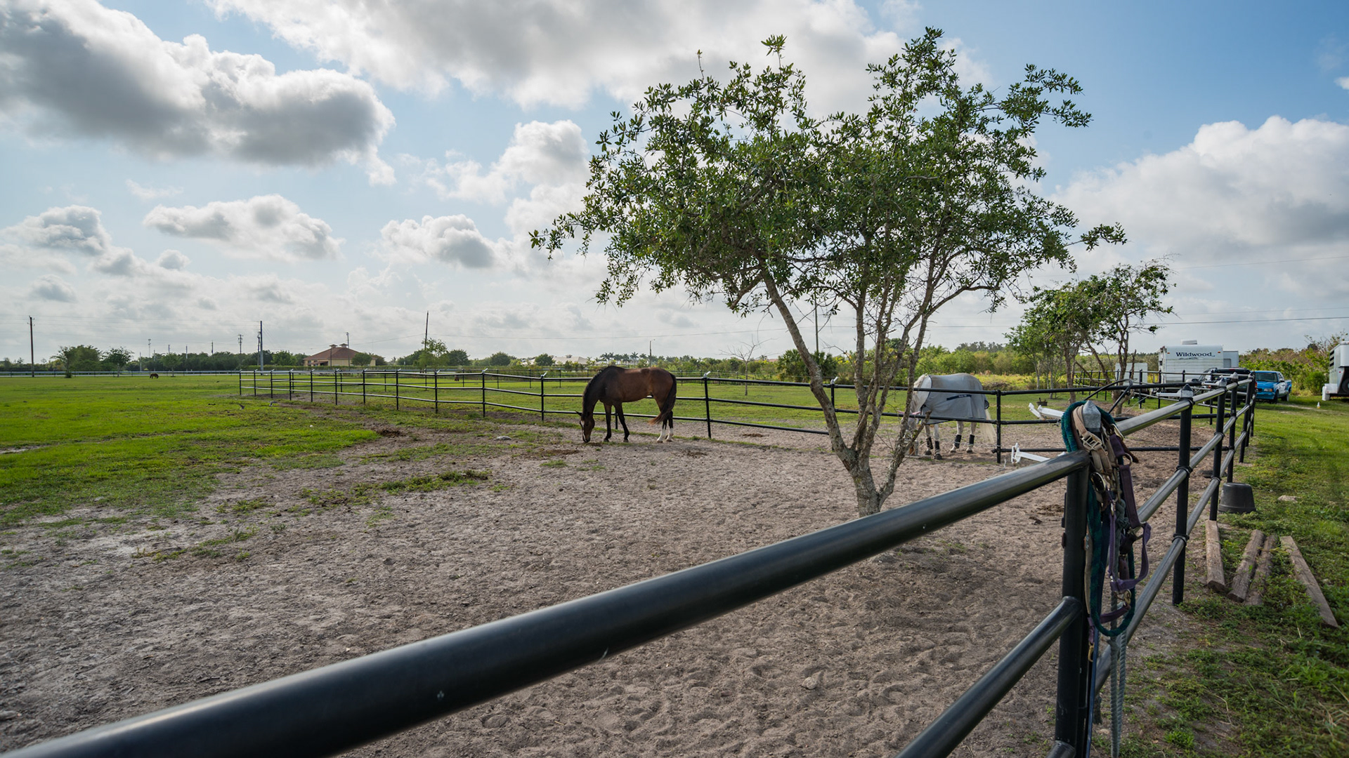 Pipe fencing is used on this FL farm - very unusual for this area. - the halters are sloppy hung this way.  The electric wire runs through an insulating tube under ground under the gate.