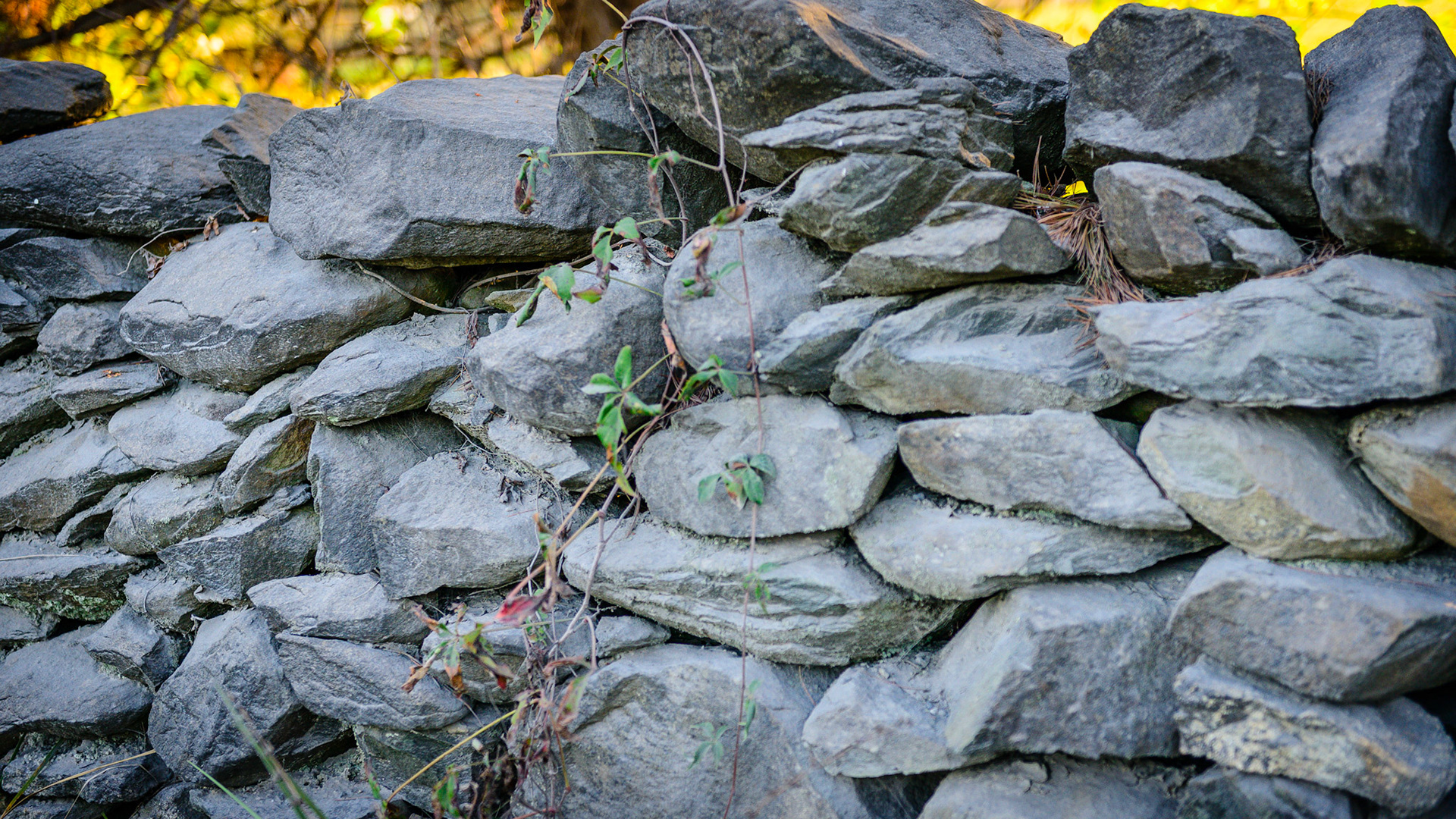 Gravity, weather and plants are causing the gradual decline into disorder - entropy.