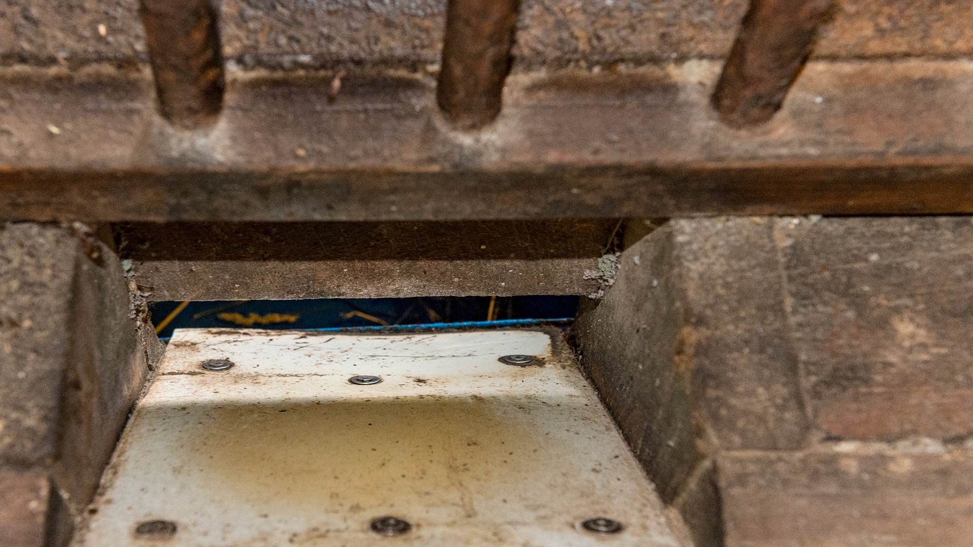 This feed chute is built into the stall wall. The blue cover is an indicator for the blue bucket to be used for feeding.  Each horse is assigned a different color.