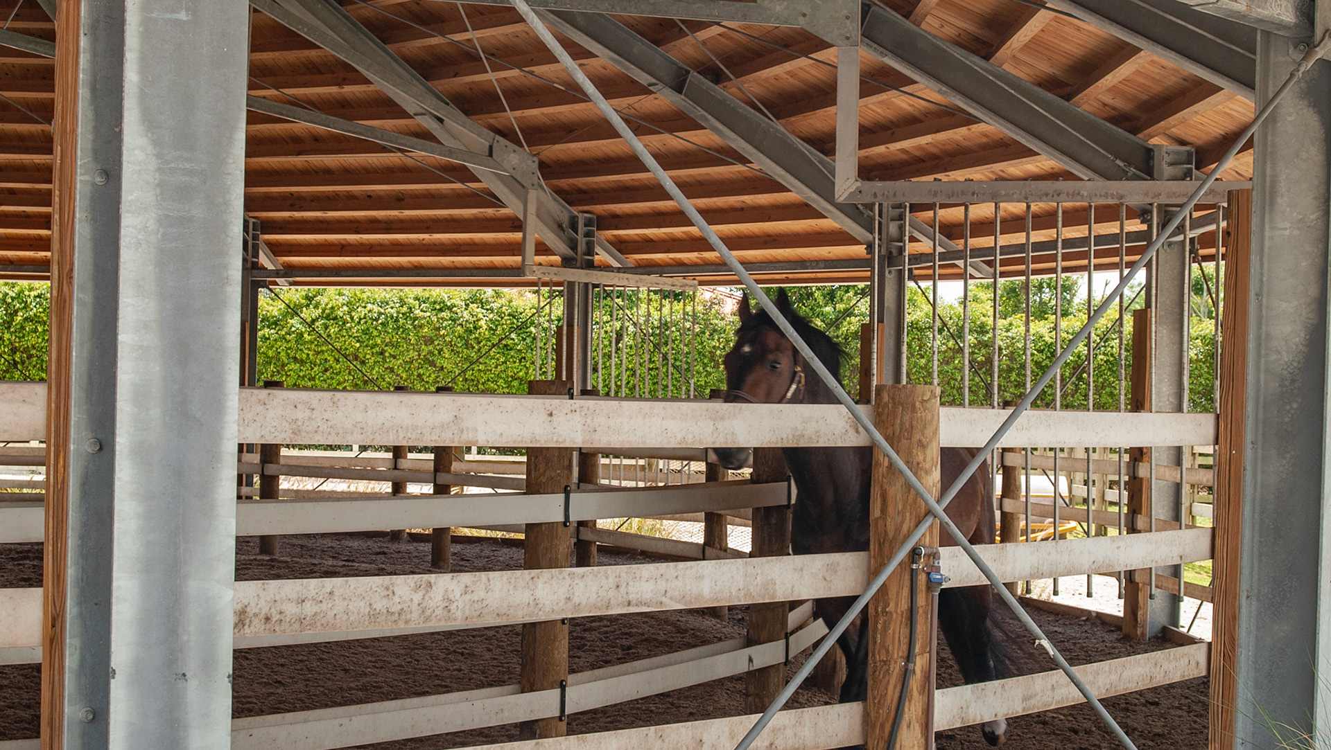 Indoor walker details