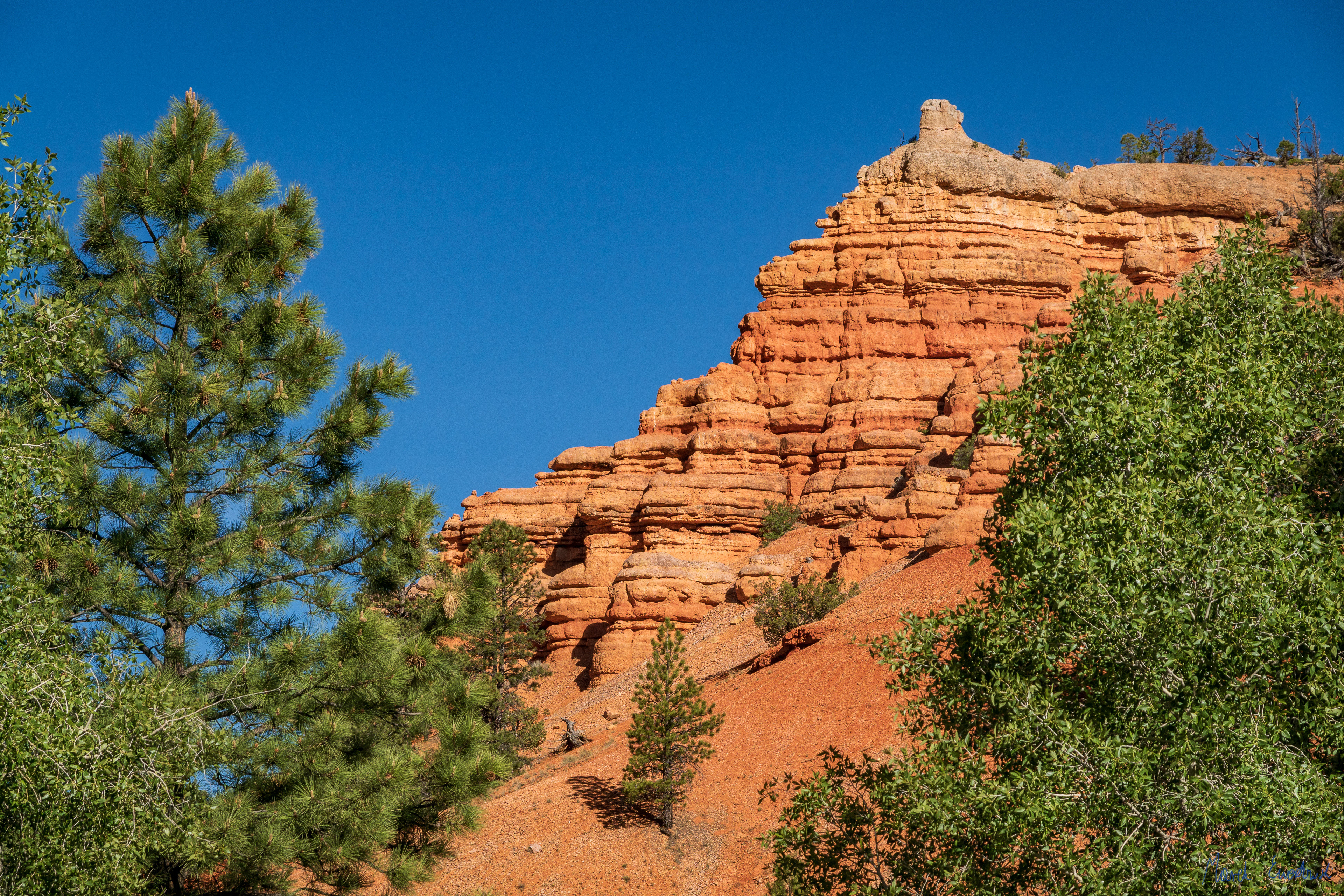 Red Canyon, Dixie National Forest, Utah