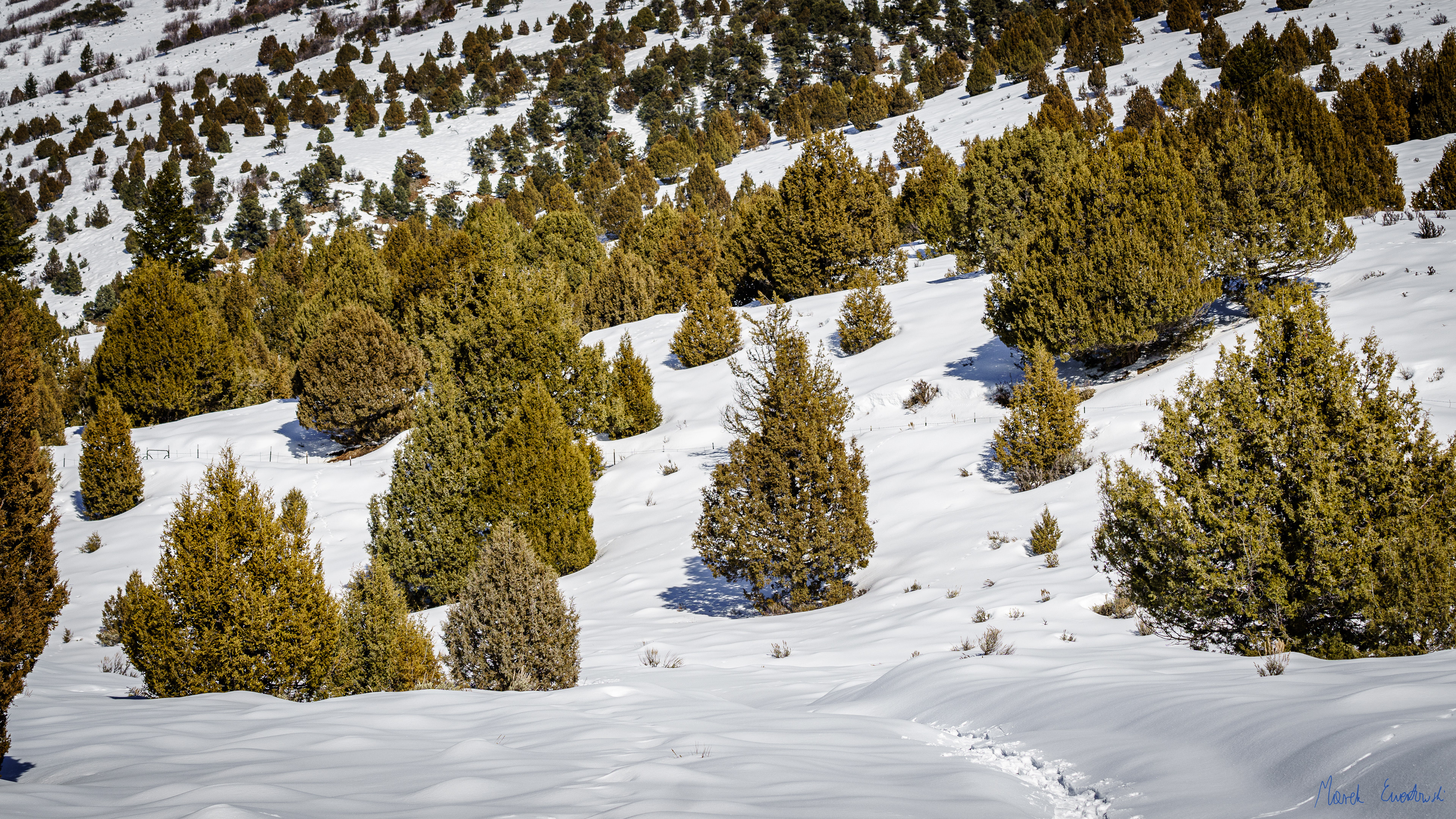 Bear River Range, Utah