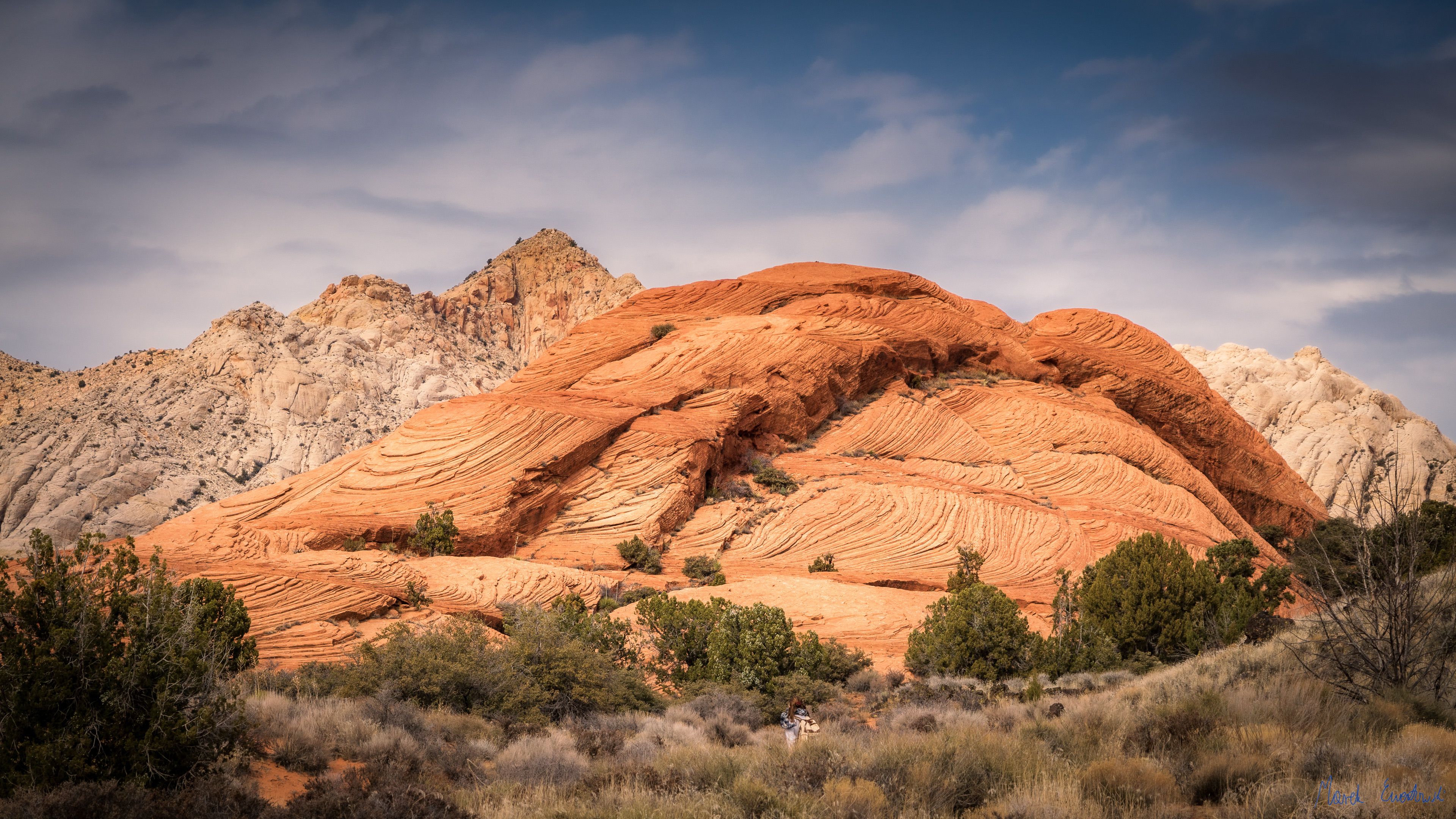 Snow Canyon State Park, Utah