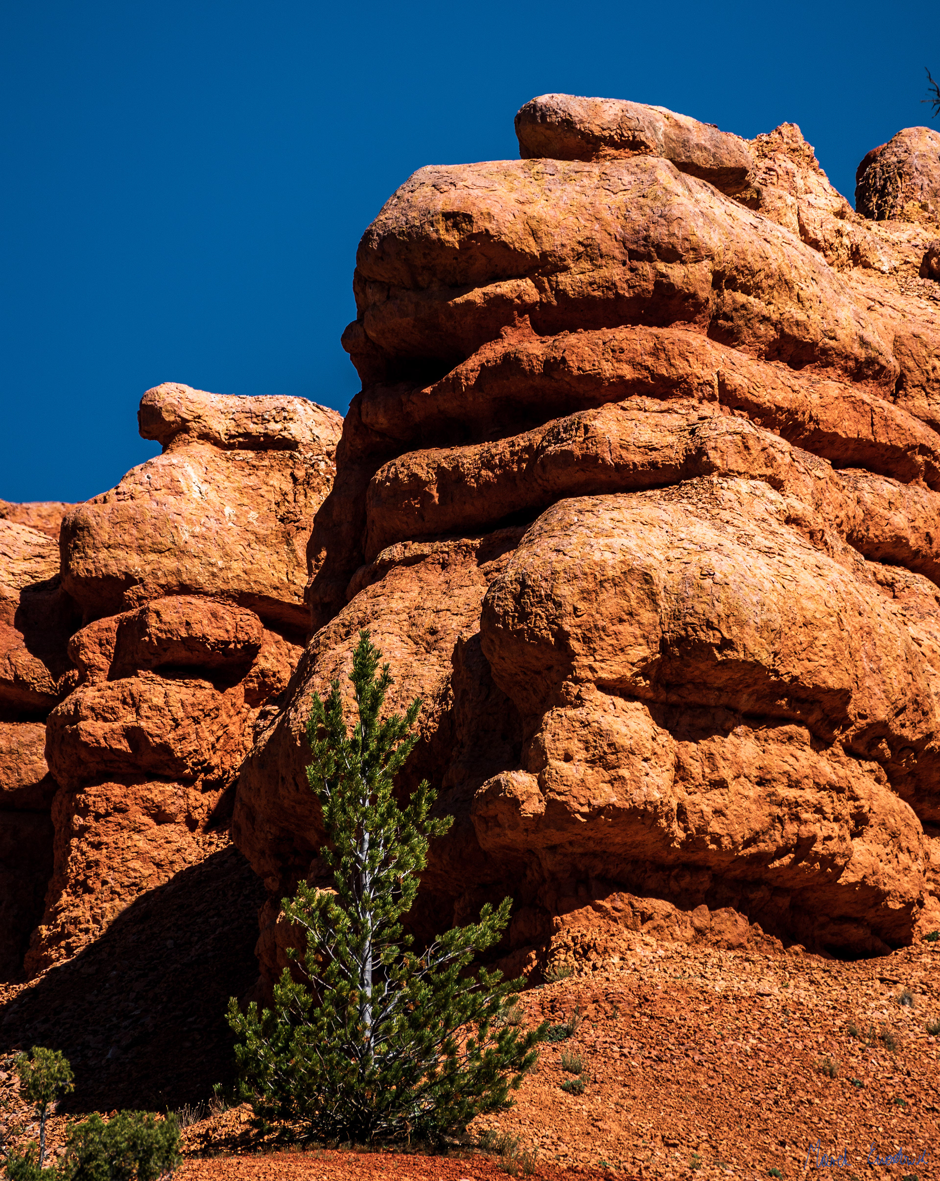 Red Canyon, Dixie National Forest, Utah