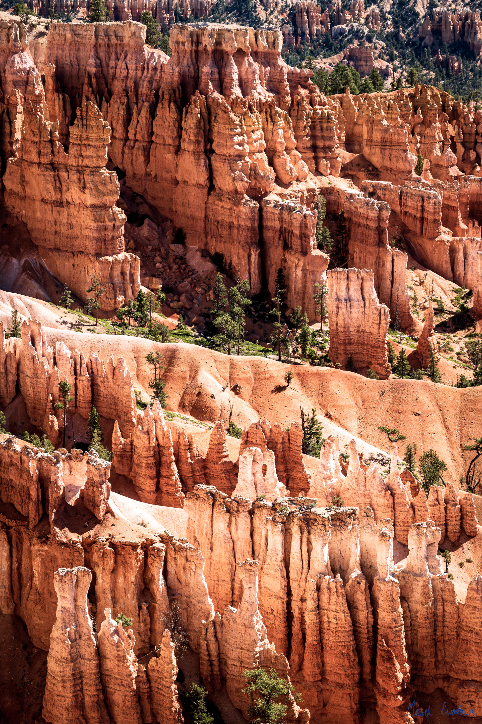 Bryce Canyon National Park, Utah