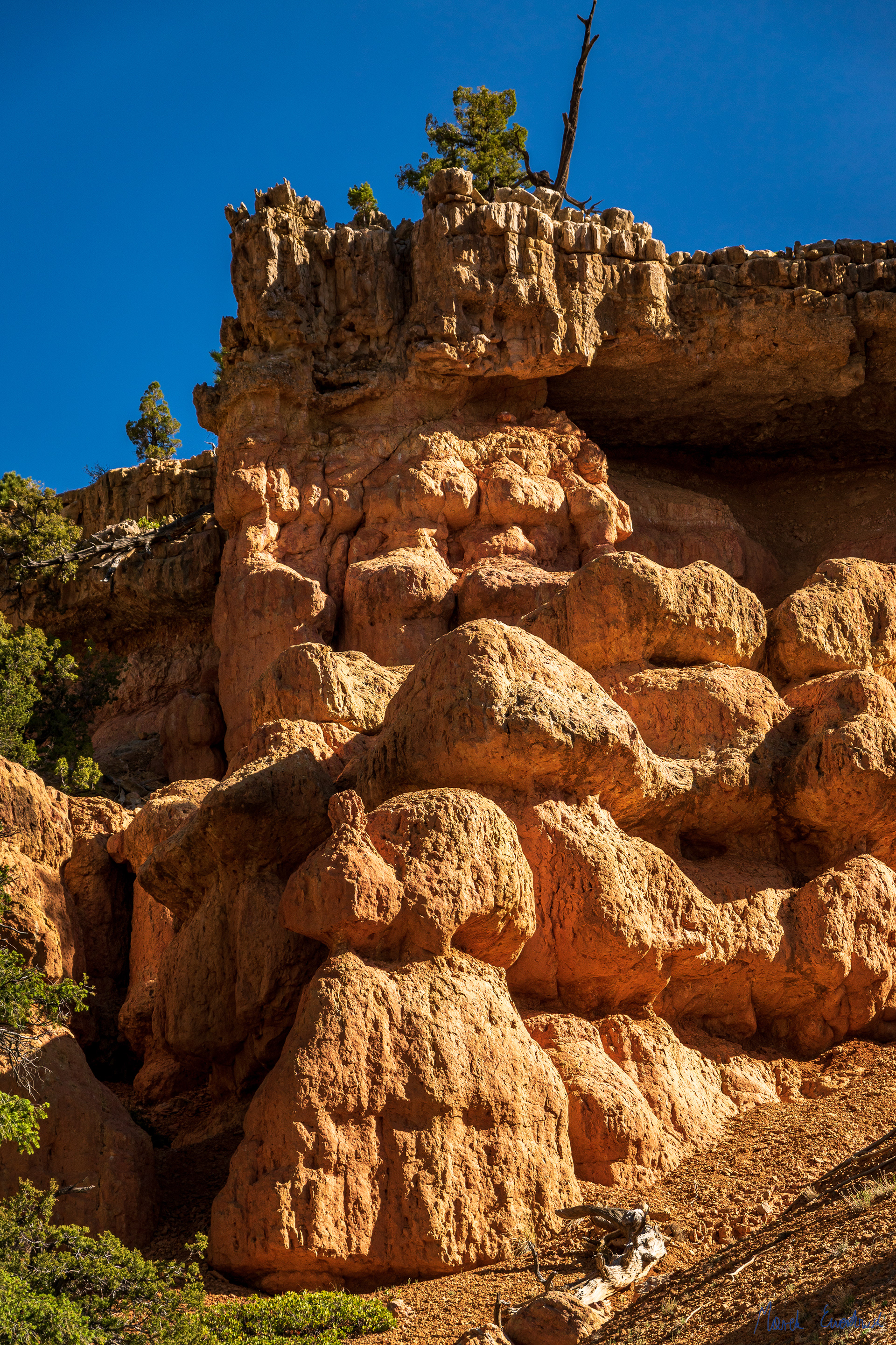Red Canyon, Dixie National Forest, Utah
