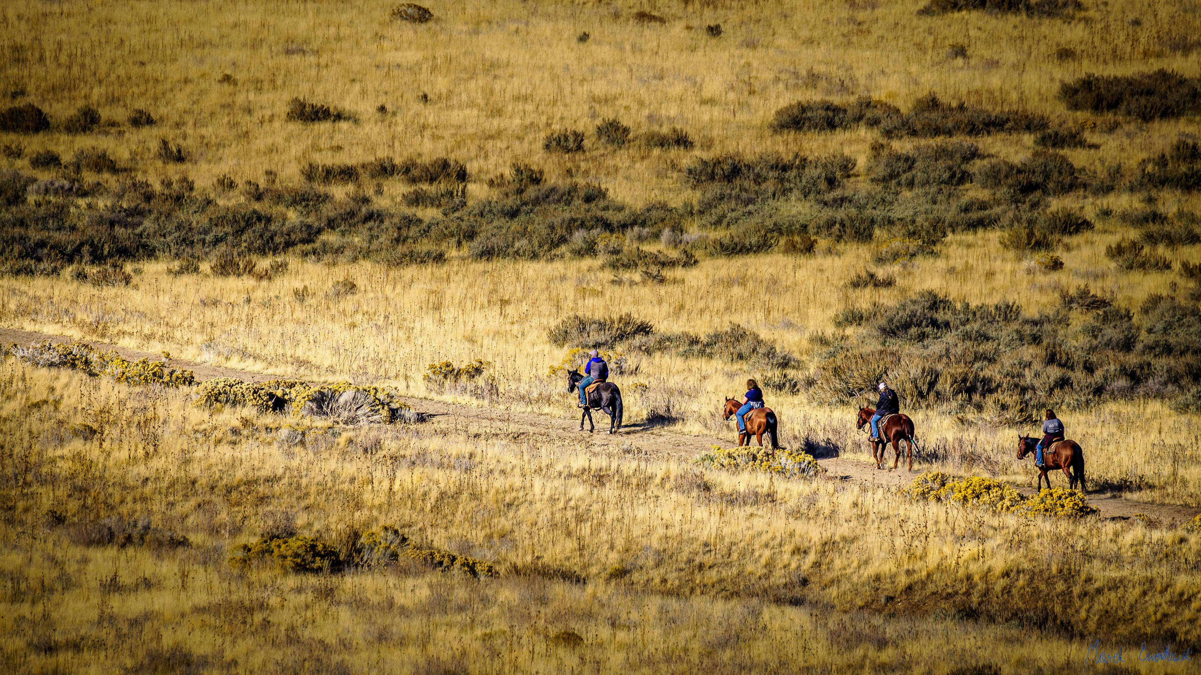 Antelope Island, Utah