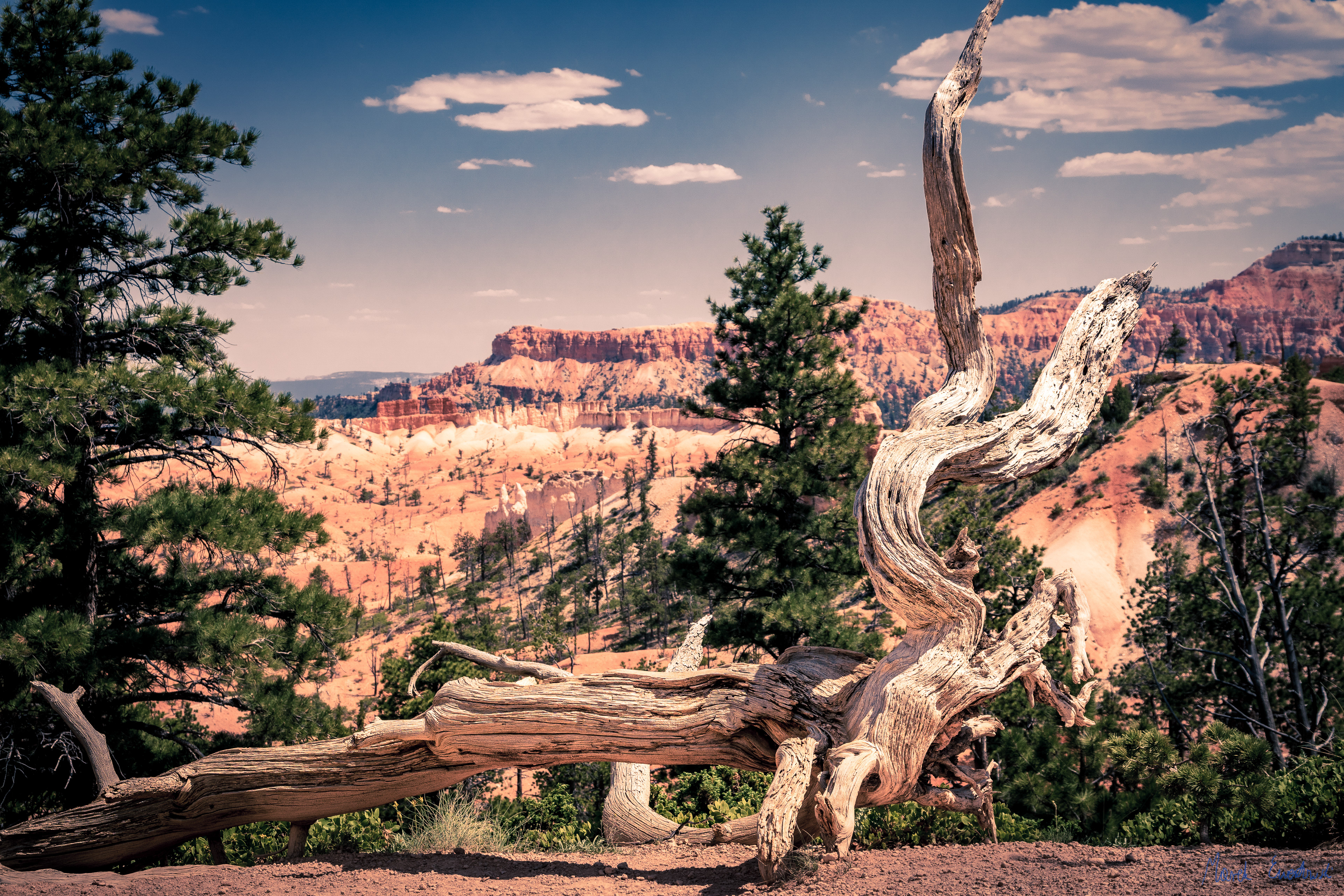 Bryce Canyon National Park, Utah
