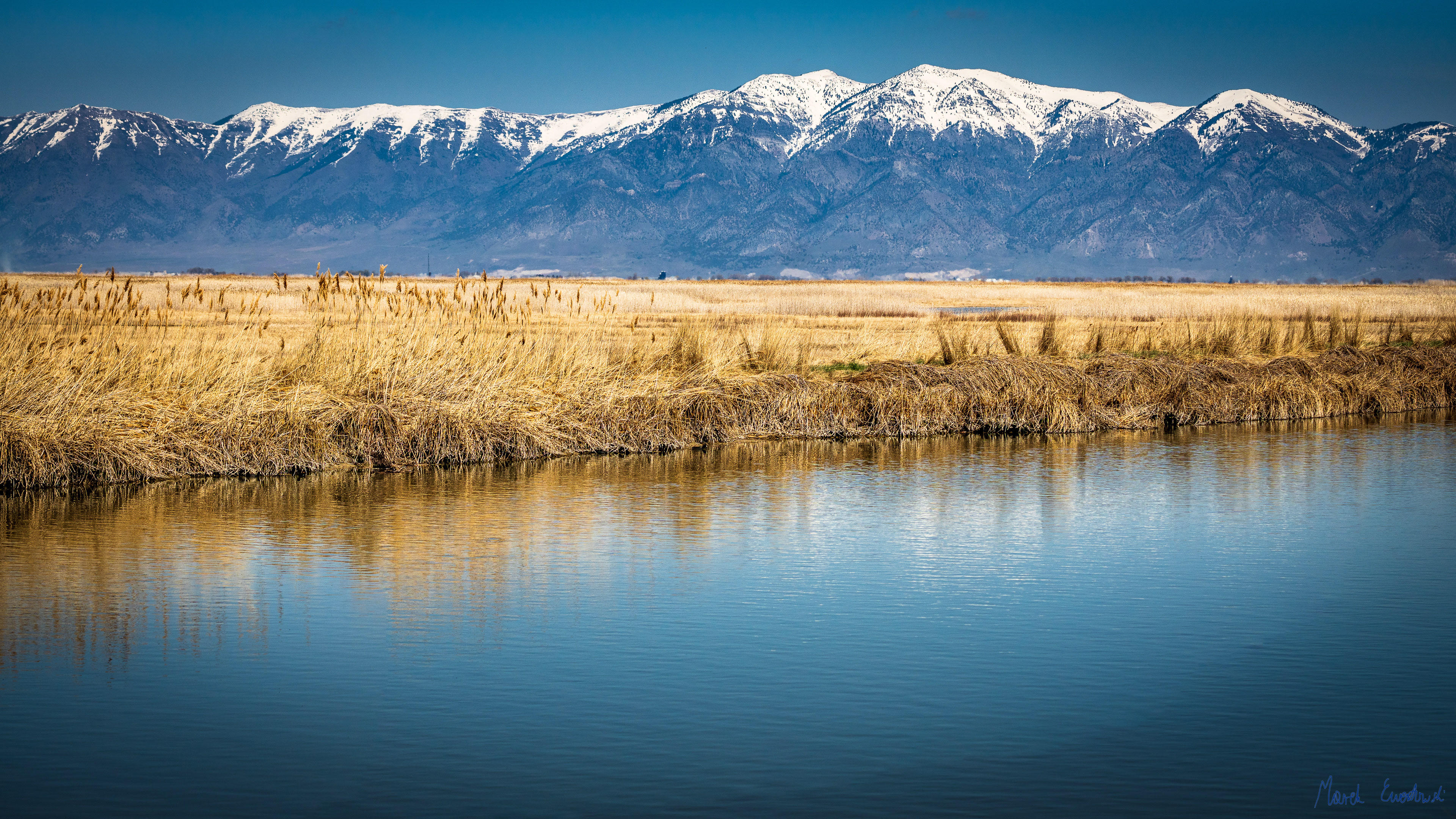  Bear River Migratory Bird Refuge, Utah