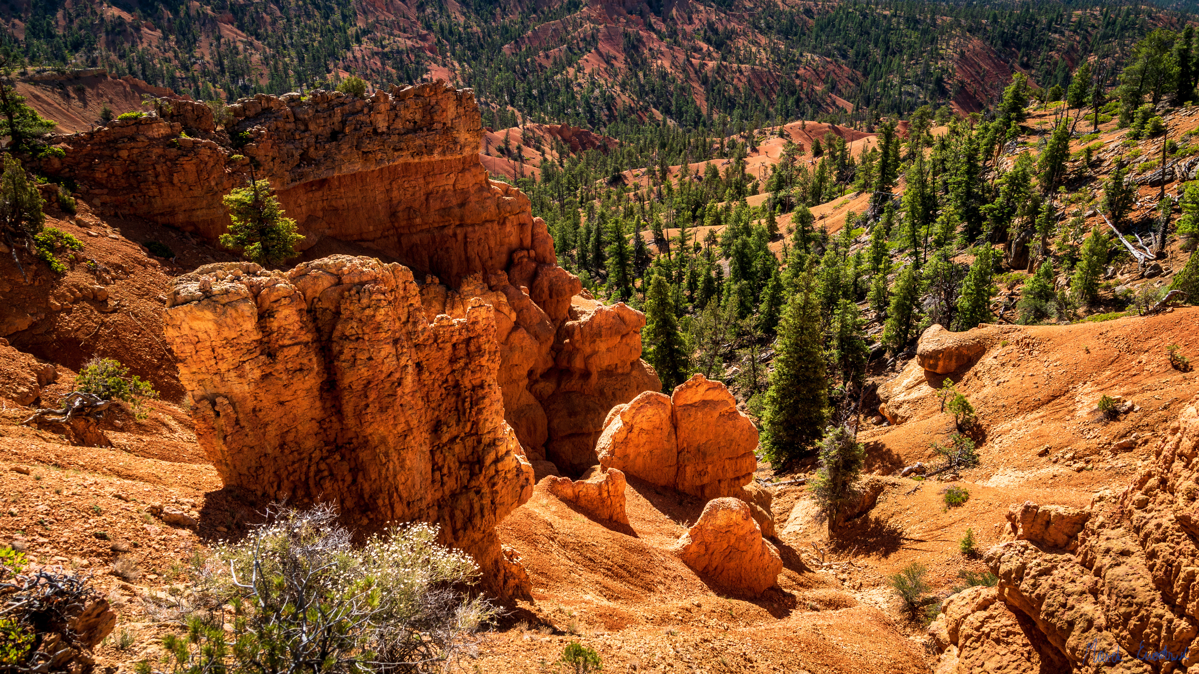 Red Canyon, Dixie National Forest, Utah