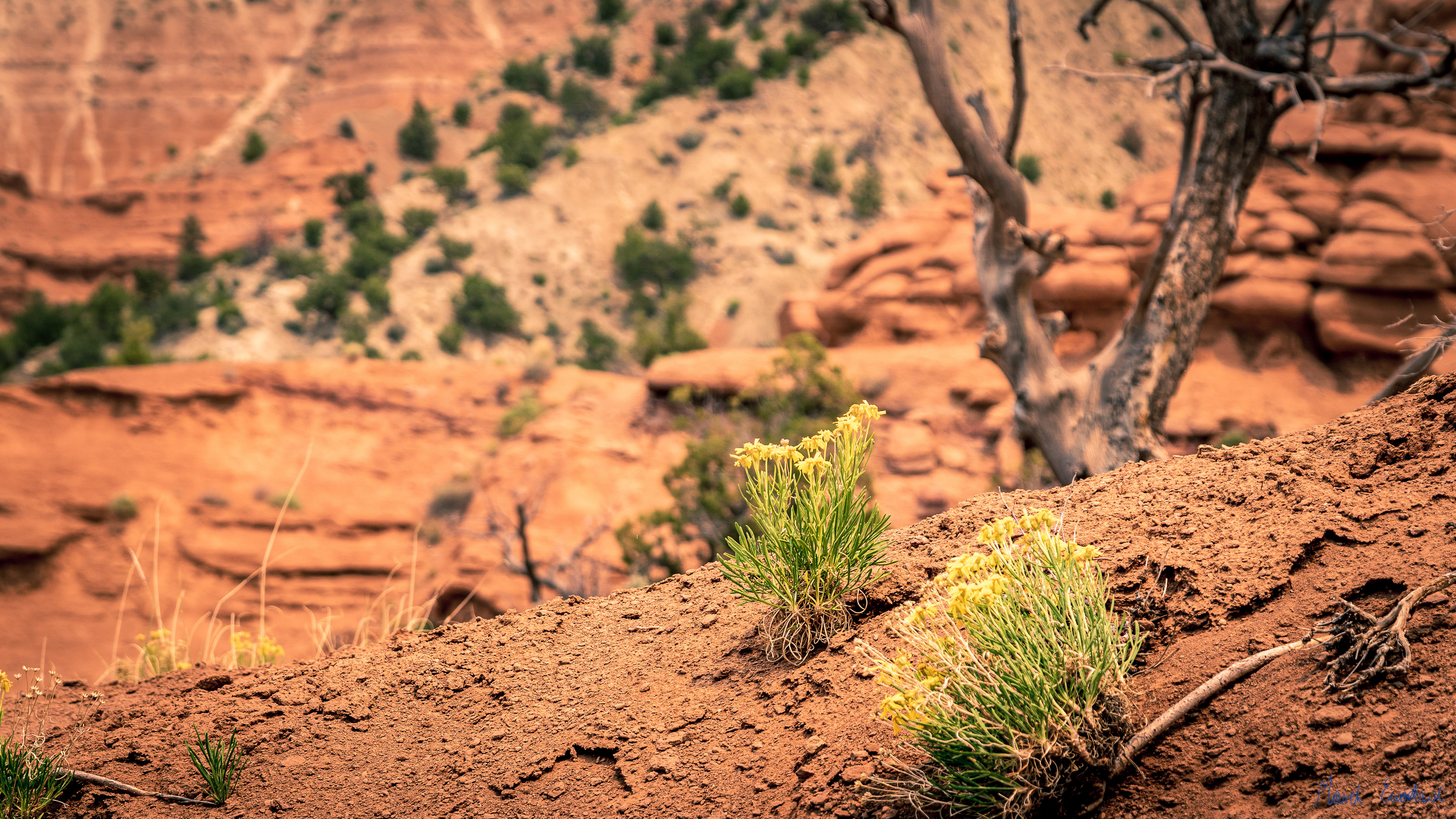Kodachrome Basin State Park, Utah