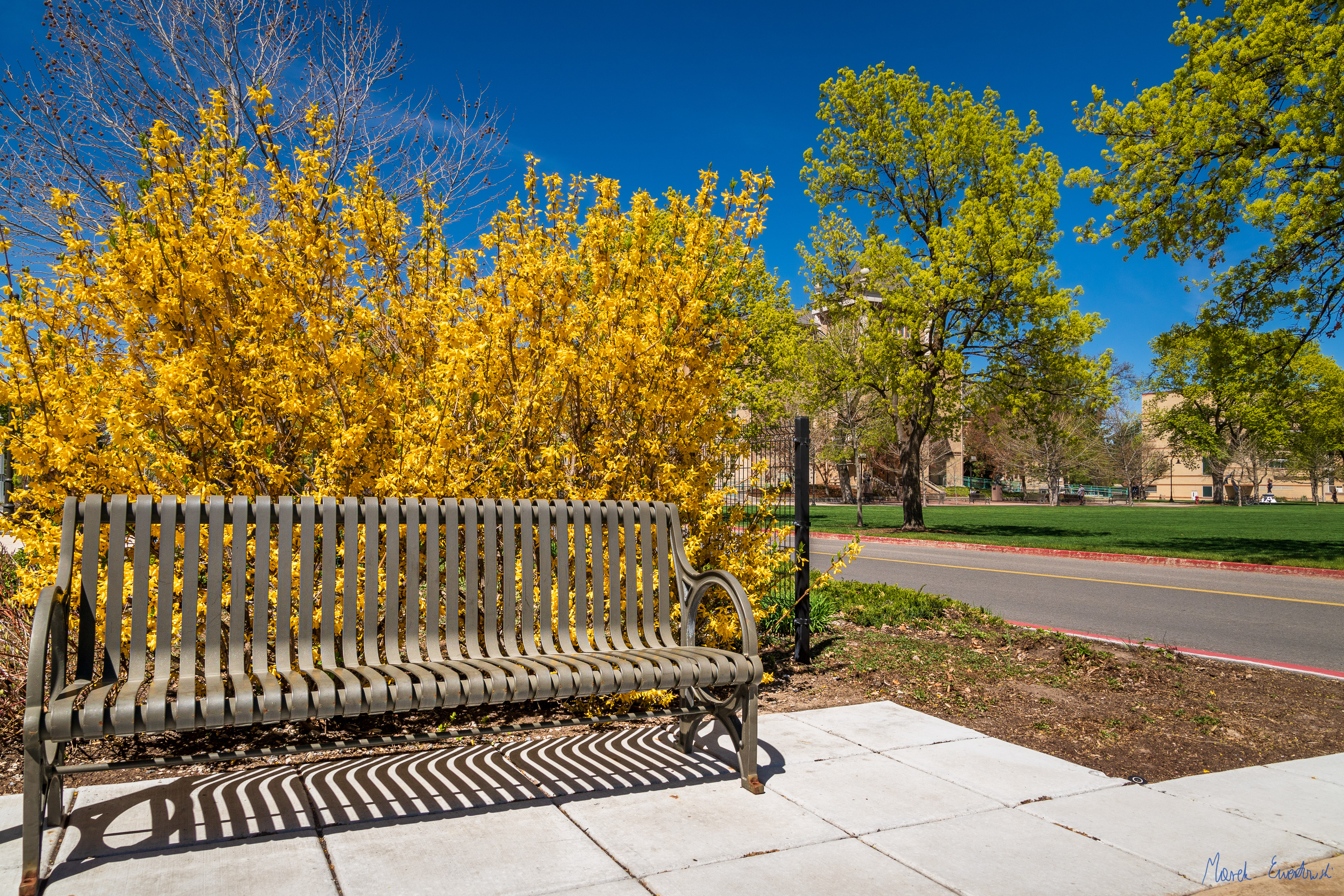 Utah State University Campus, Logan, Utah