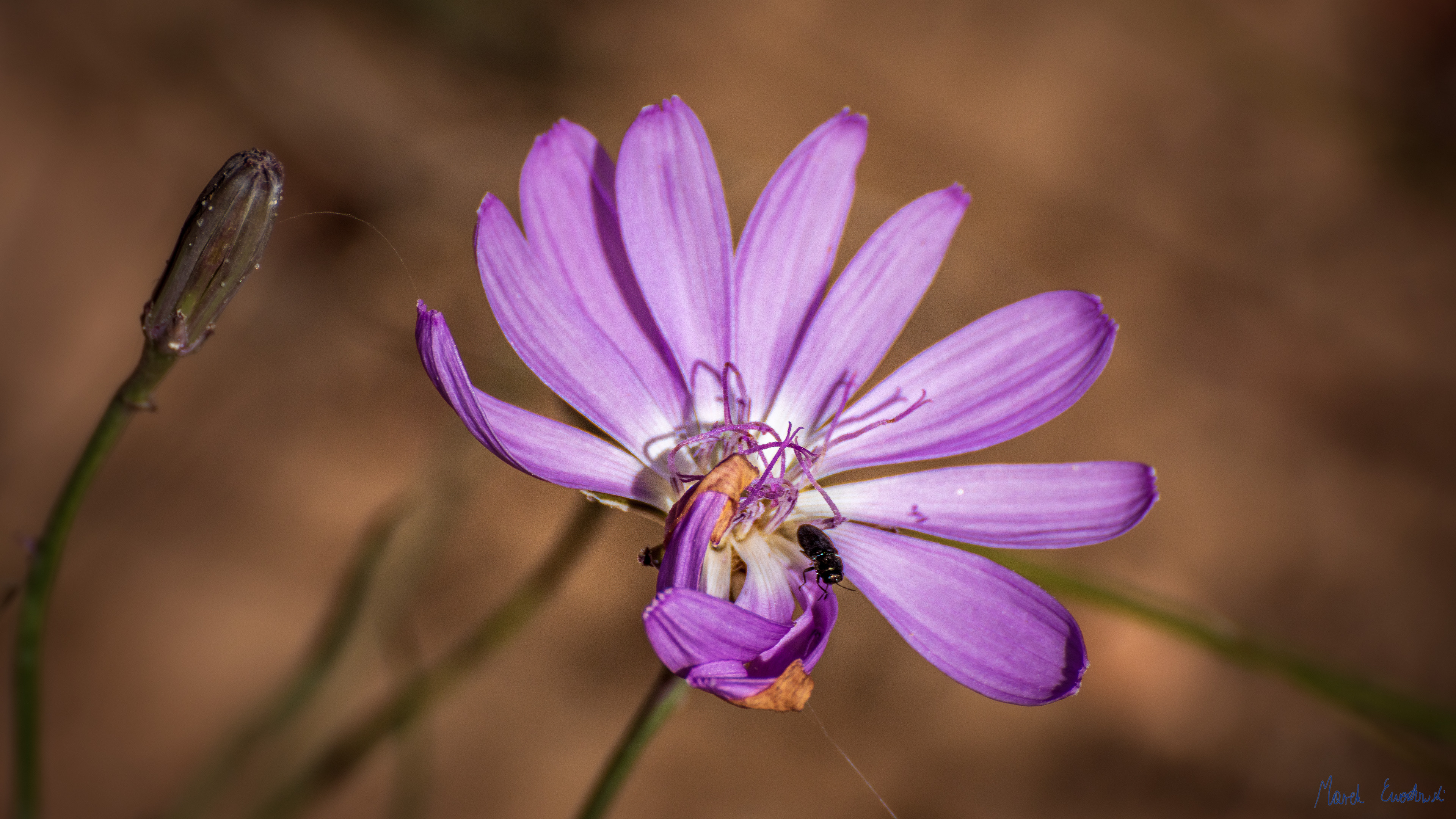 Bryce Canyon National Park, Utah