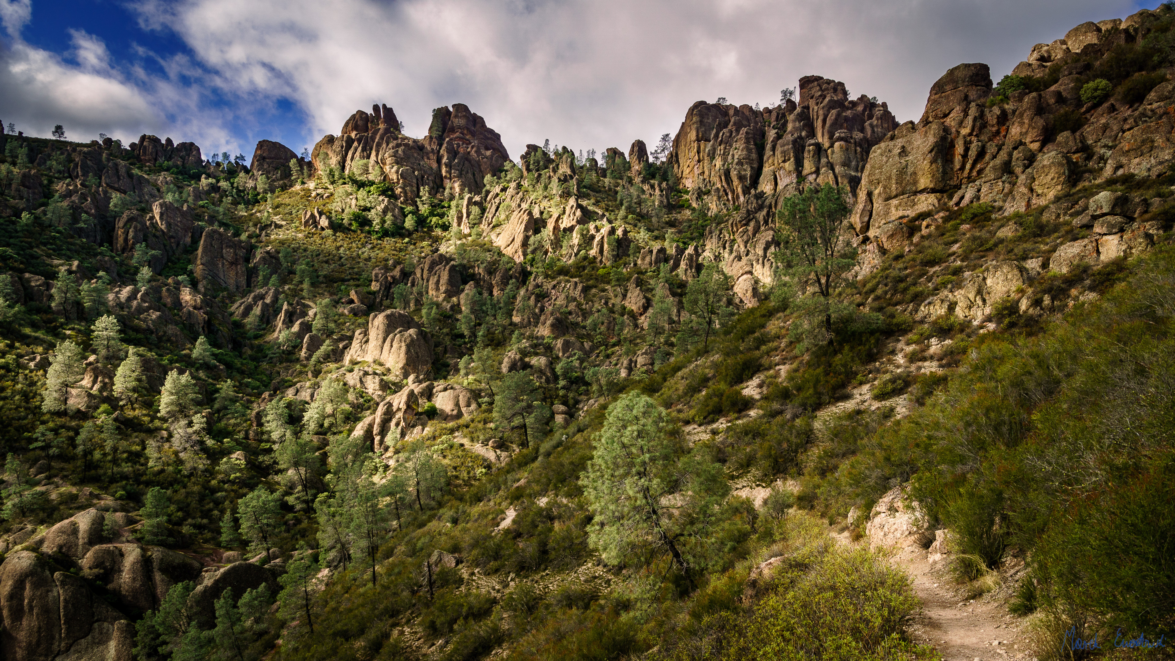 Pinnacles National Park, California