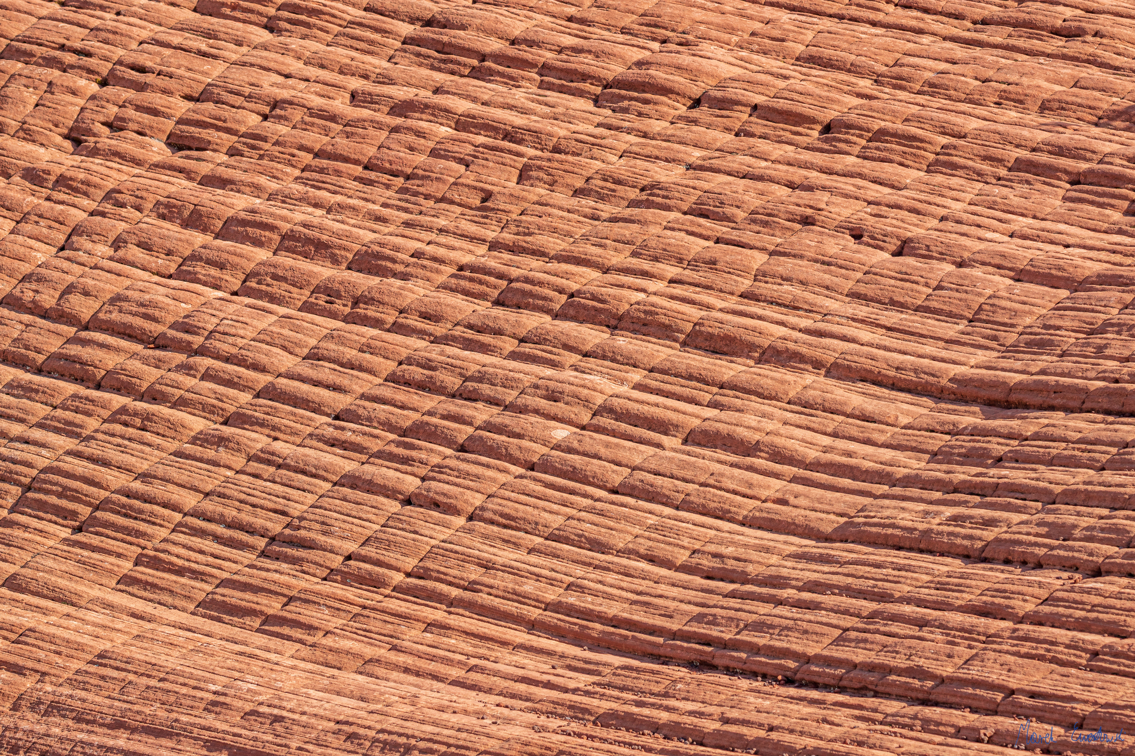 Snow Canyon State Park, Utah