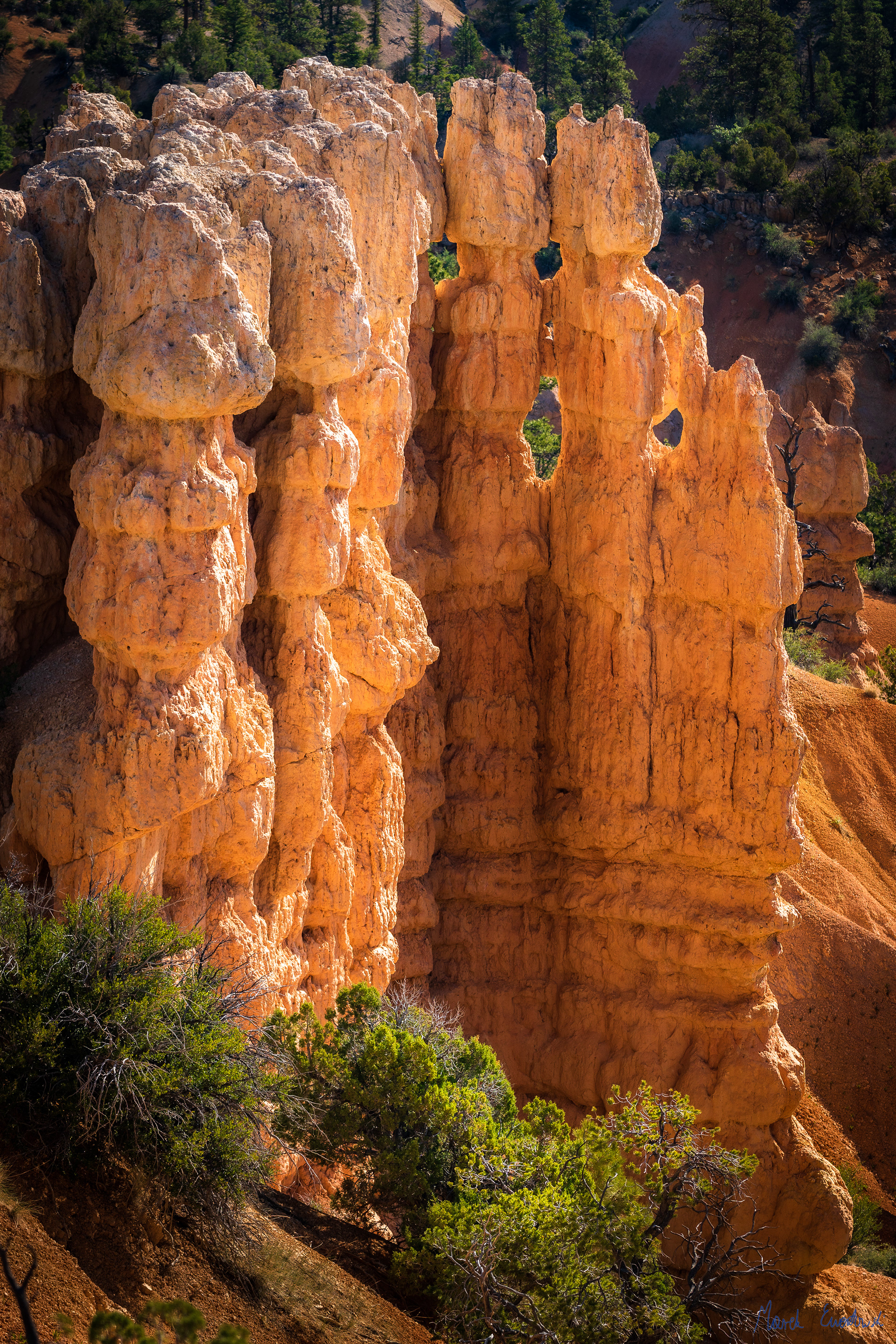 Bryce Canyon National Park, Utah