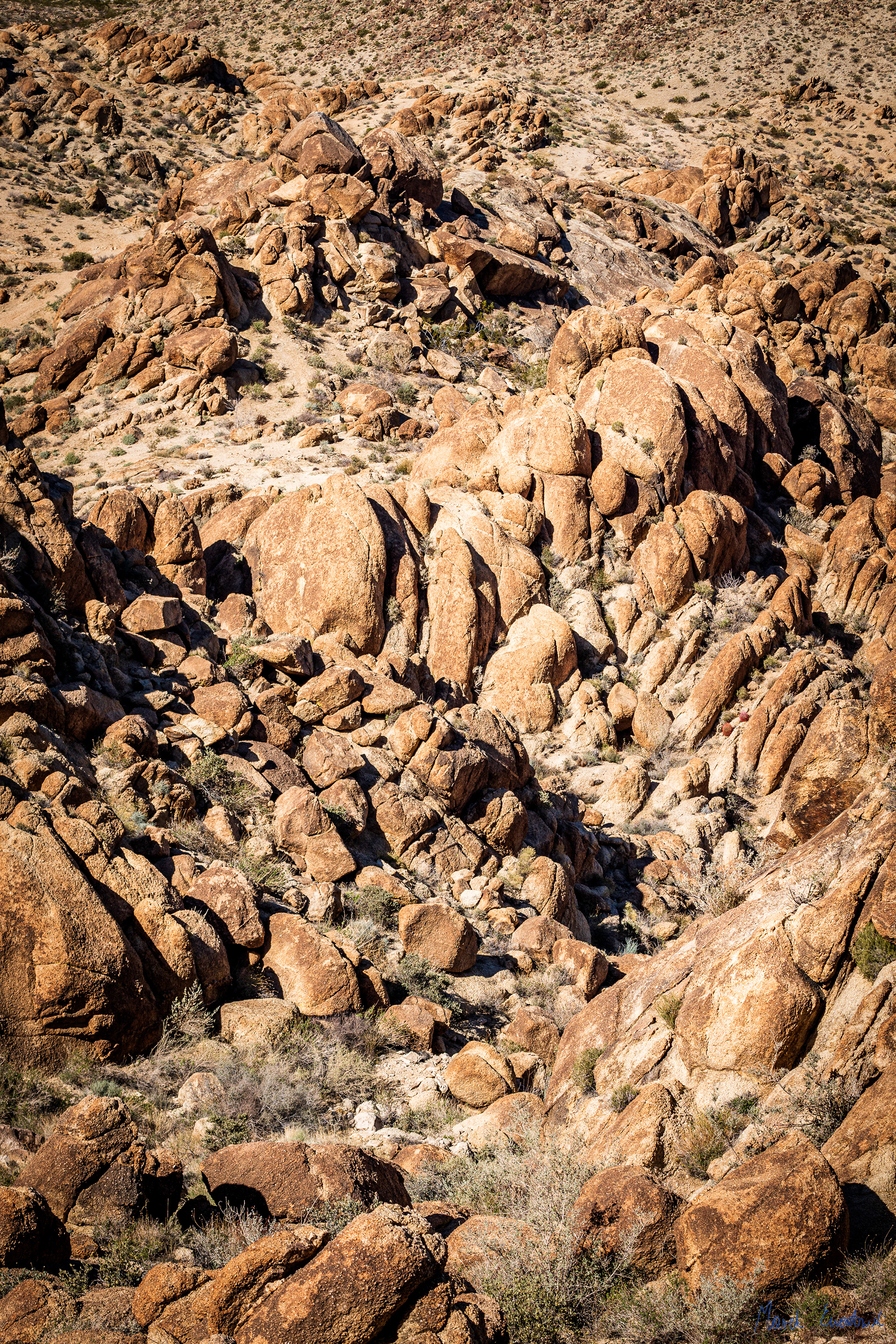 Joshua Tree National Park, California