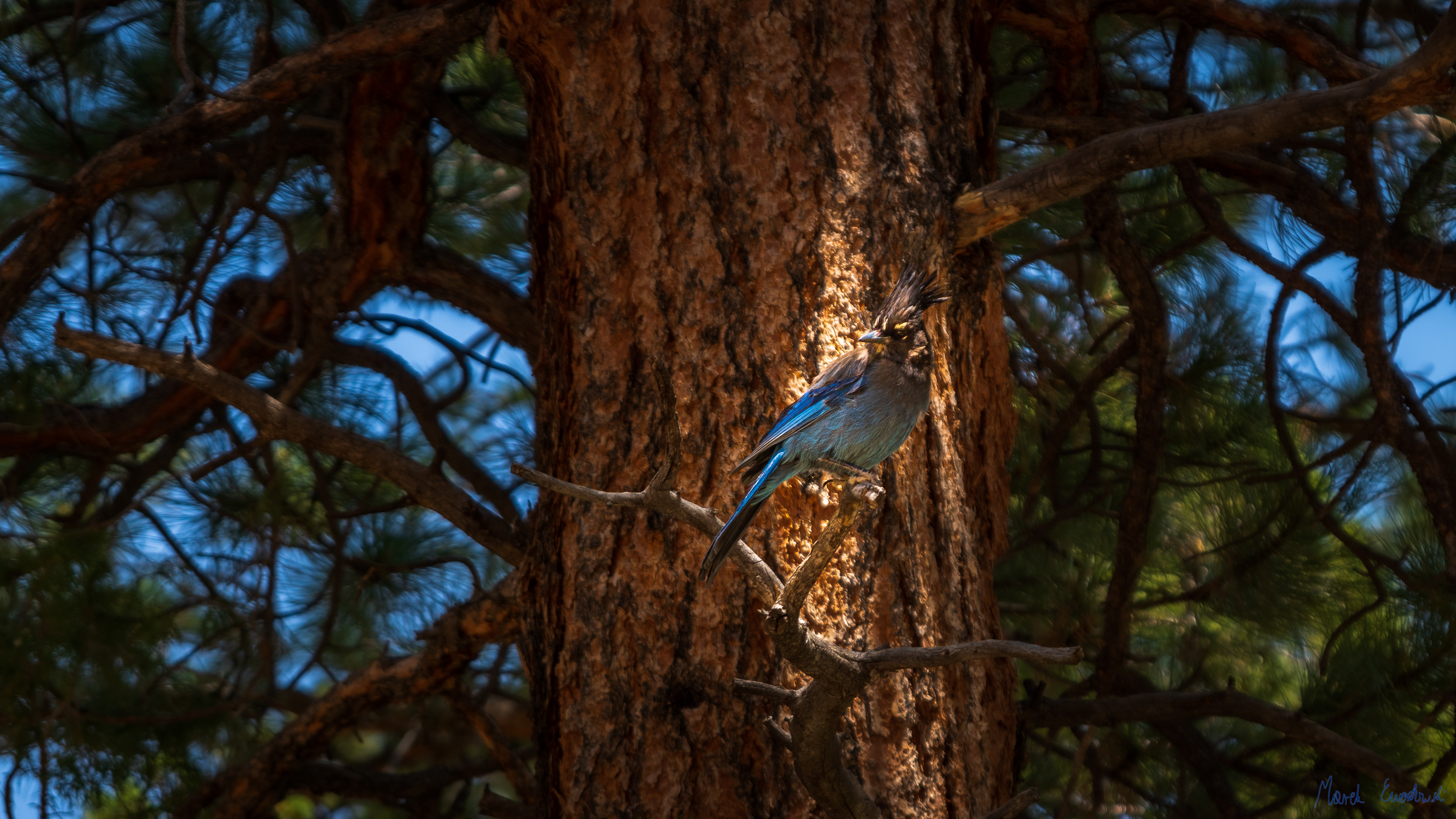 Bryce Canyon National Park, Utah