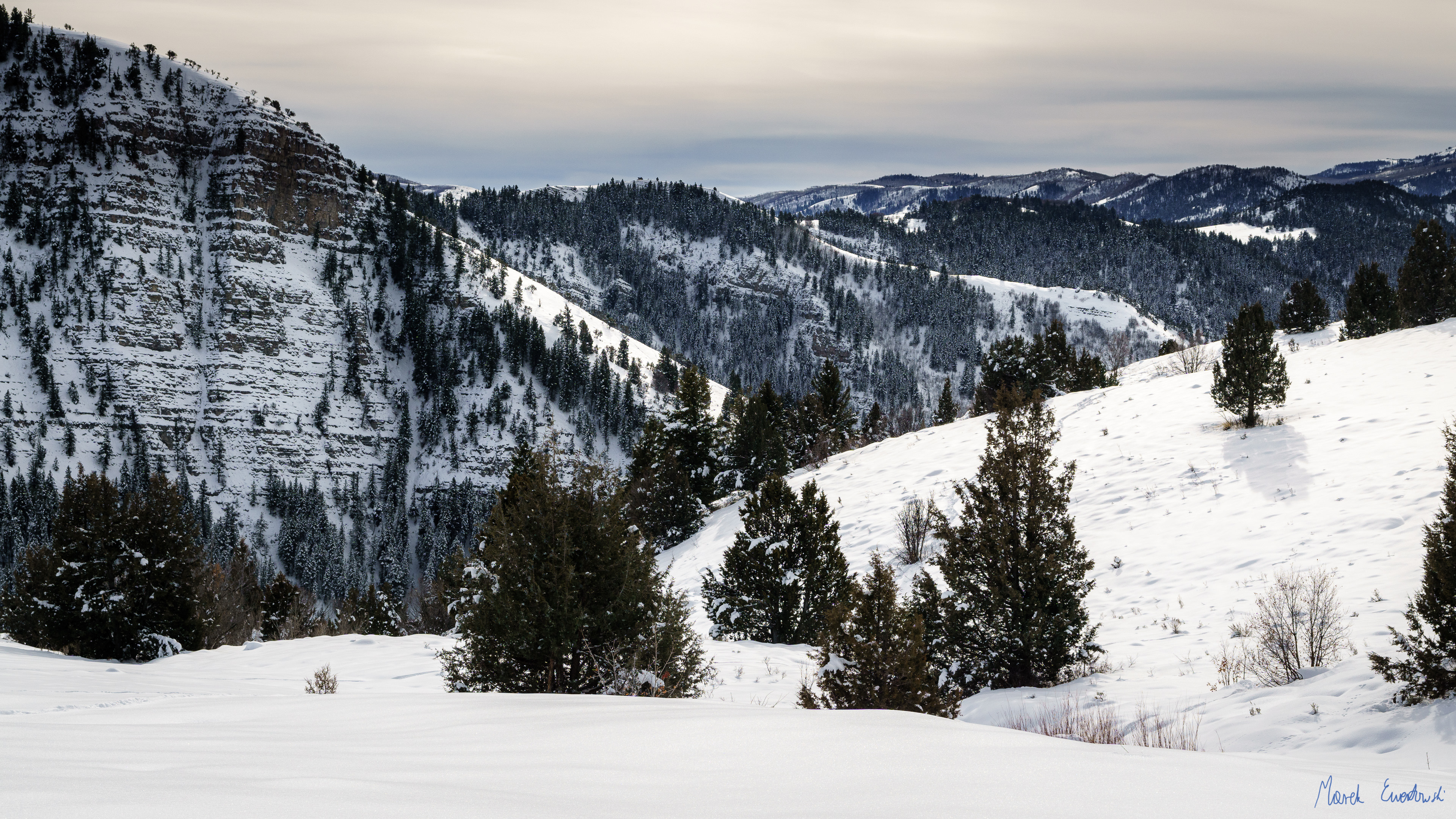Blind Hollow Trail, Logan Canyon, Utah