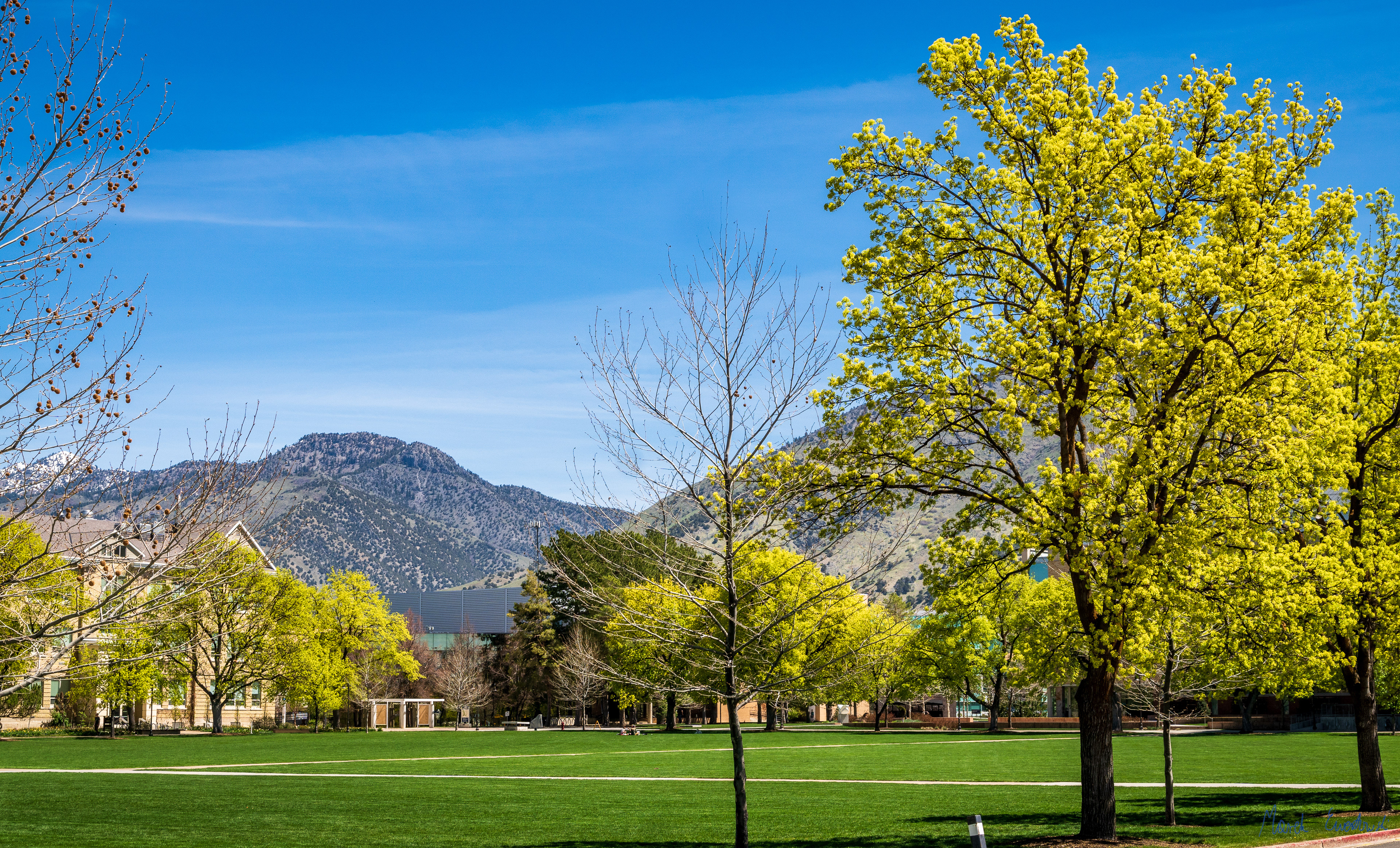 Utah State University Campus, Logan, Utah