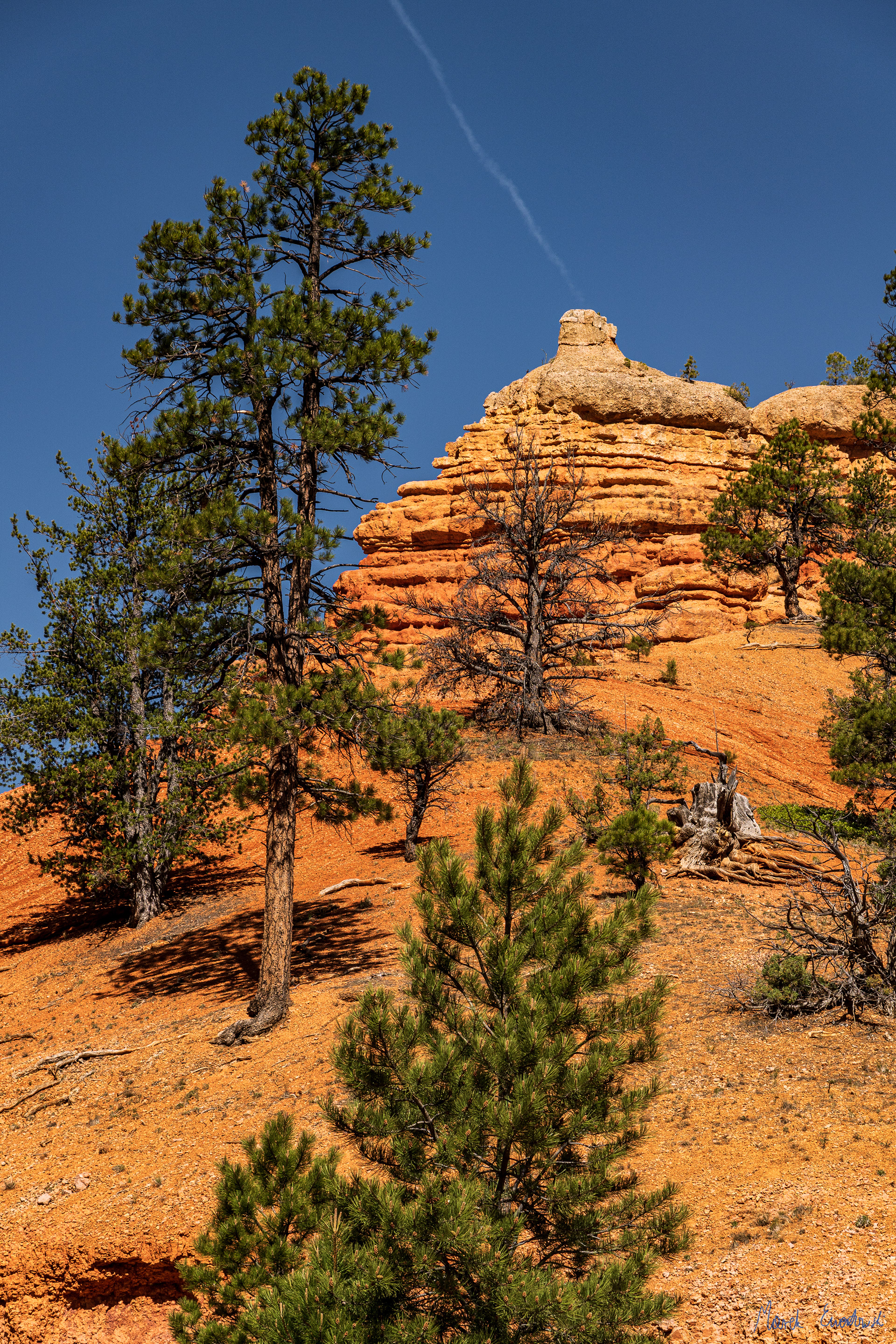 Red Canyon, Dixie National Forest, Utah