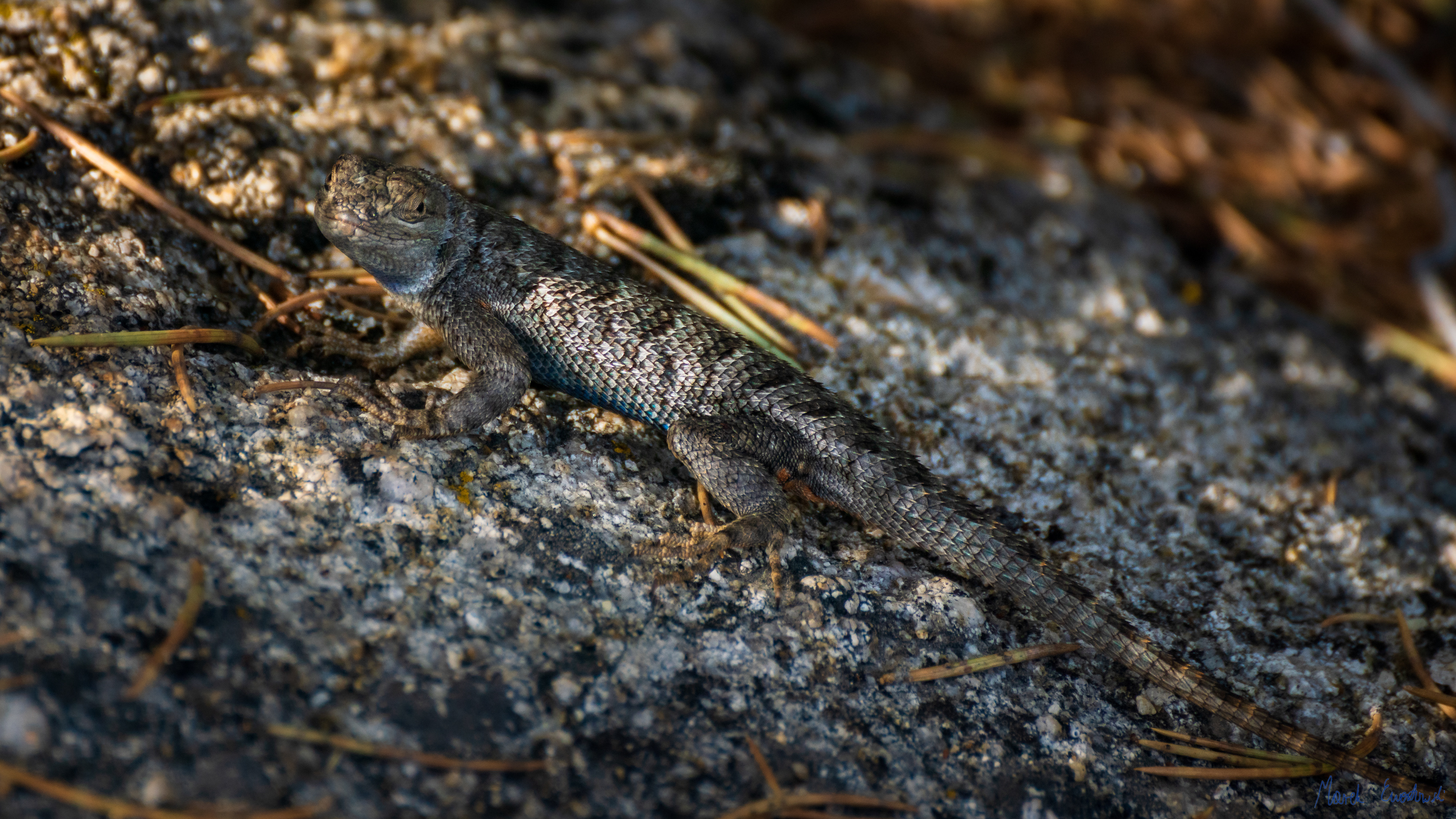 Devil's Playground, Box Elder County, Utah