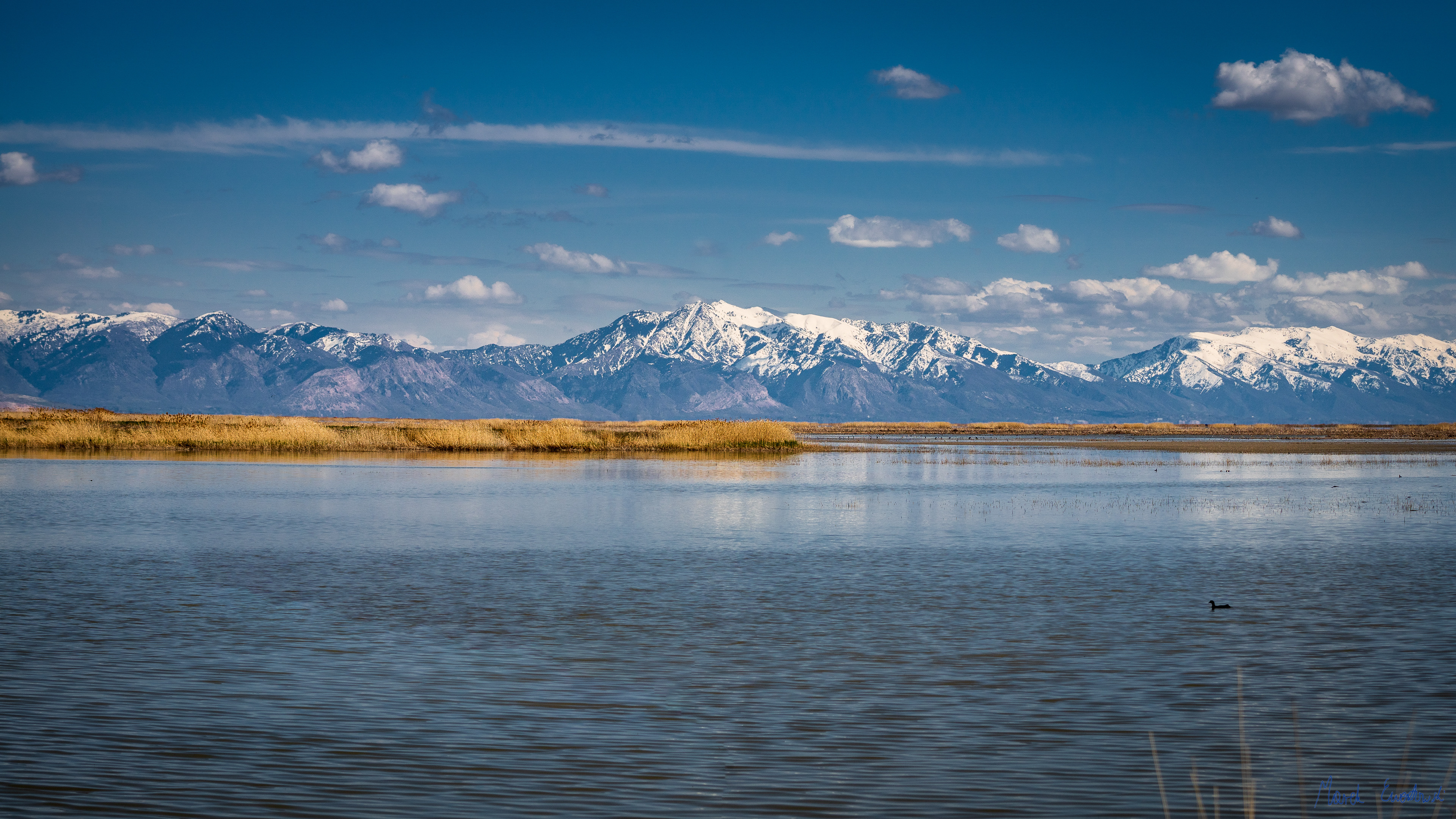  Bear River Migratory Bird Refuge, Utah