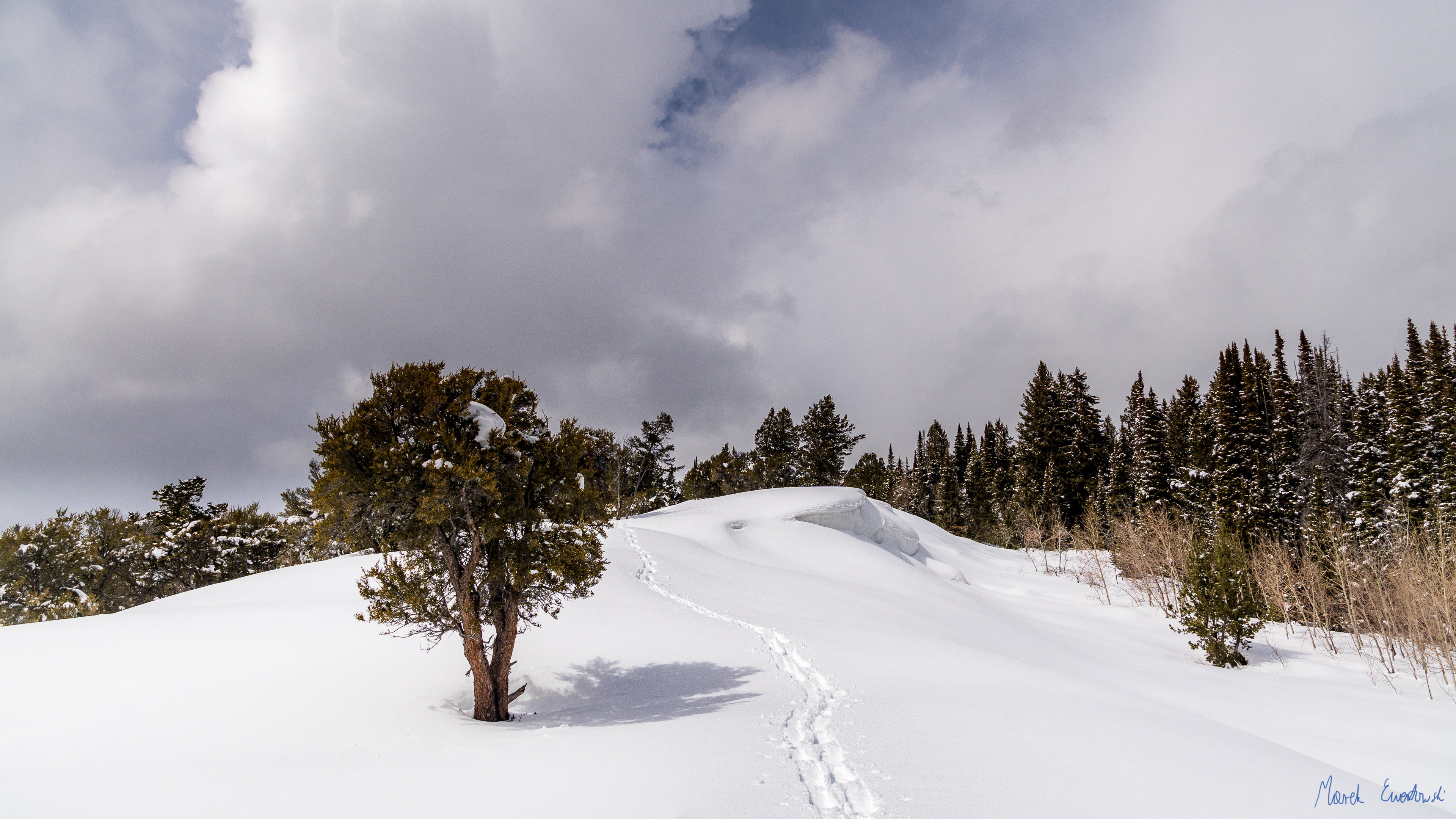 Bear River Range, Utah