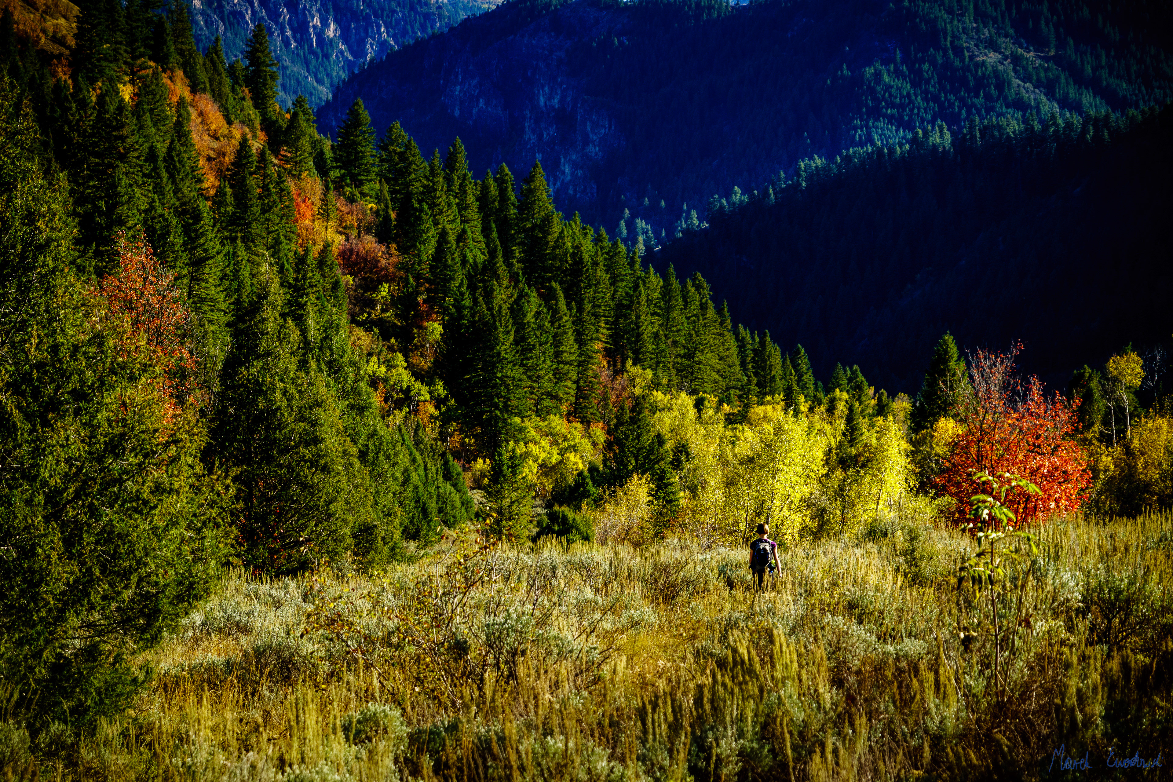 Juniper Trail, Logan Canyon, Utah